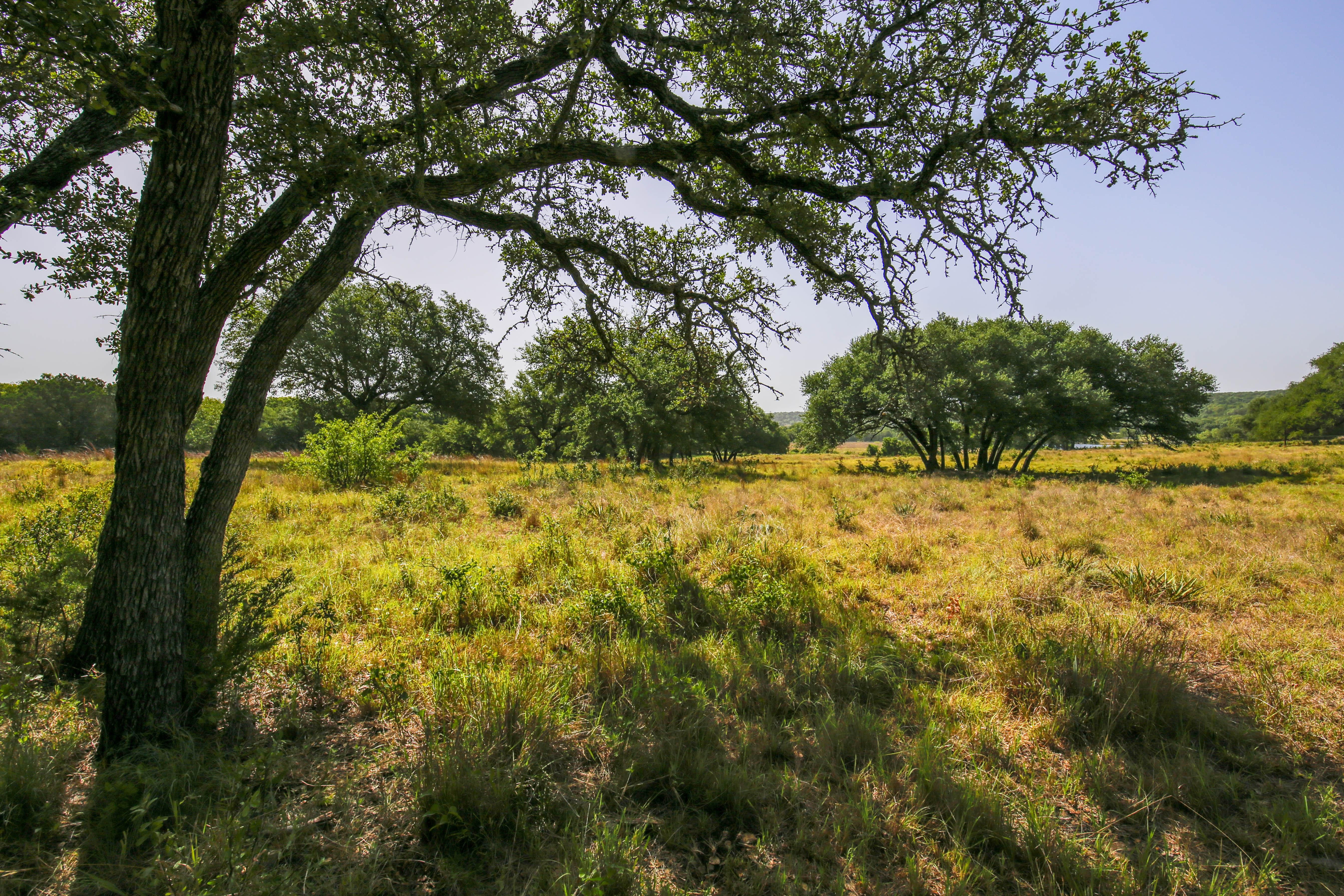 55.00 acres in Bosque County, Texas