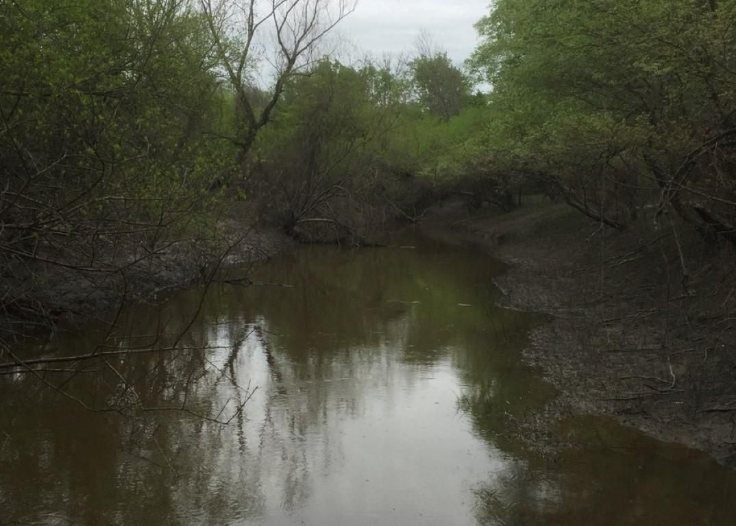 61.5 acres in Red River County, Texas