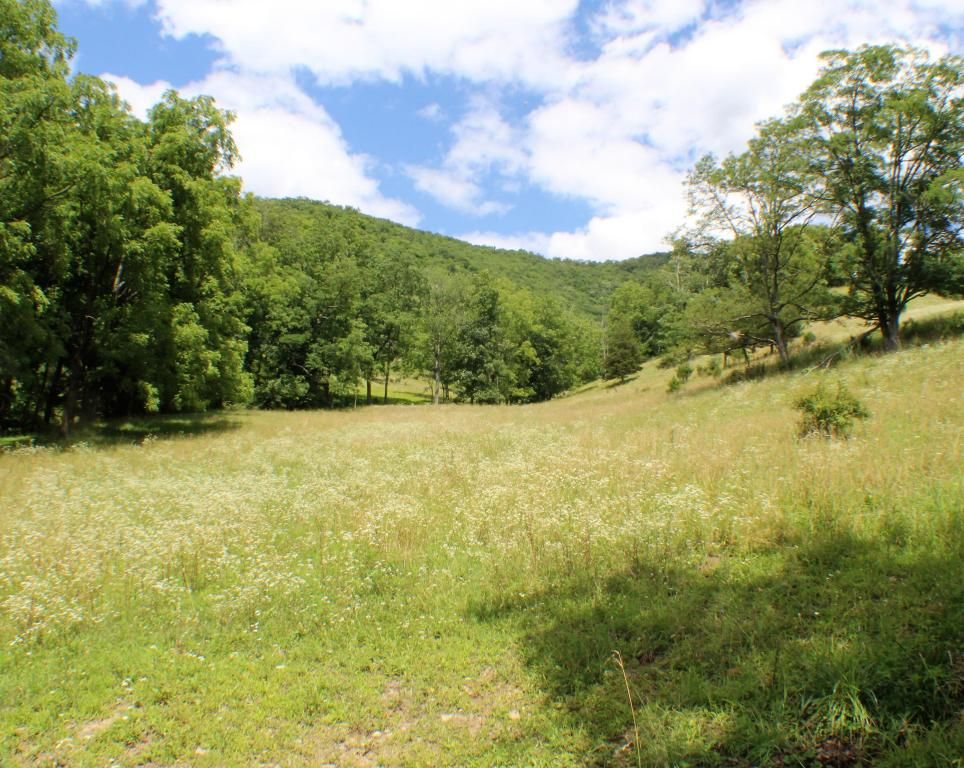 175 acres in Pendleton County, West Virginia