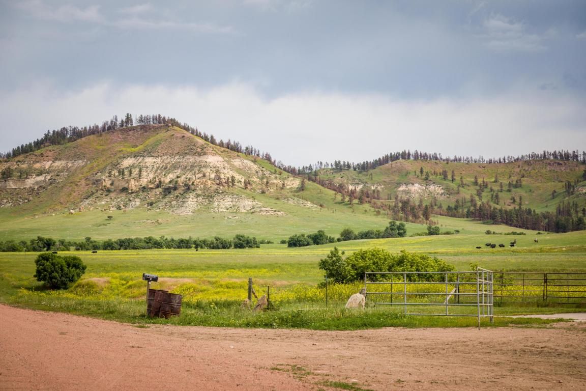 1,590 acres in Custer County, Montana