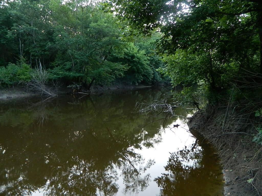 62.7 acres in Red River County, Texas