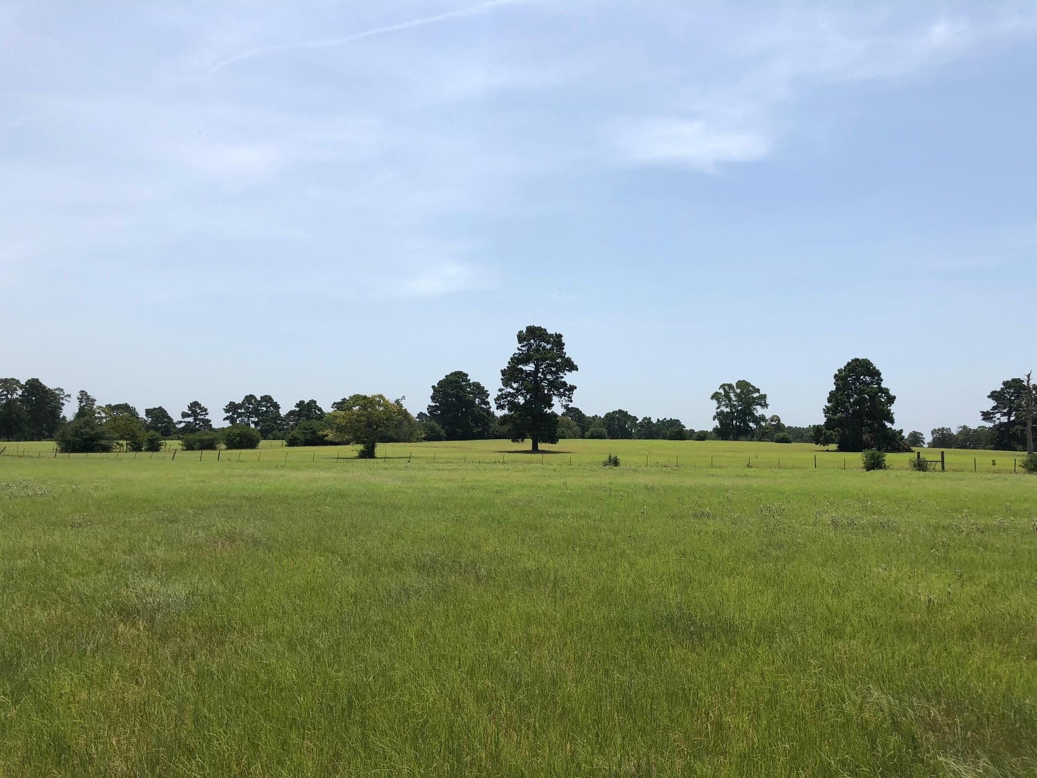 1,365 acres in Leon County, Texas