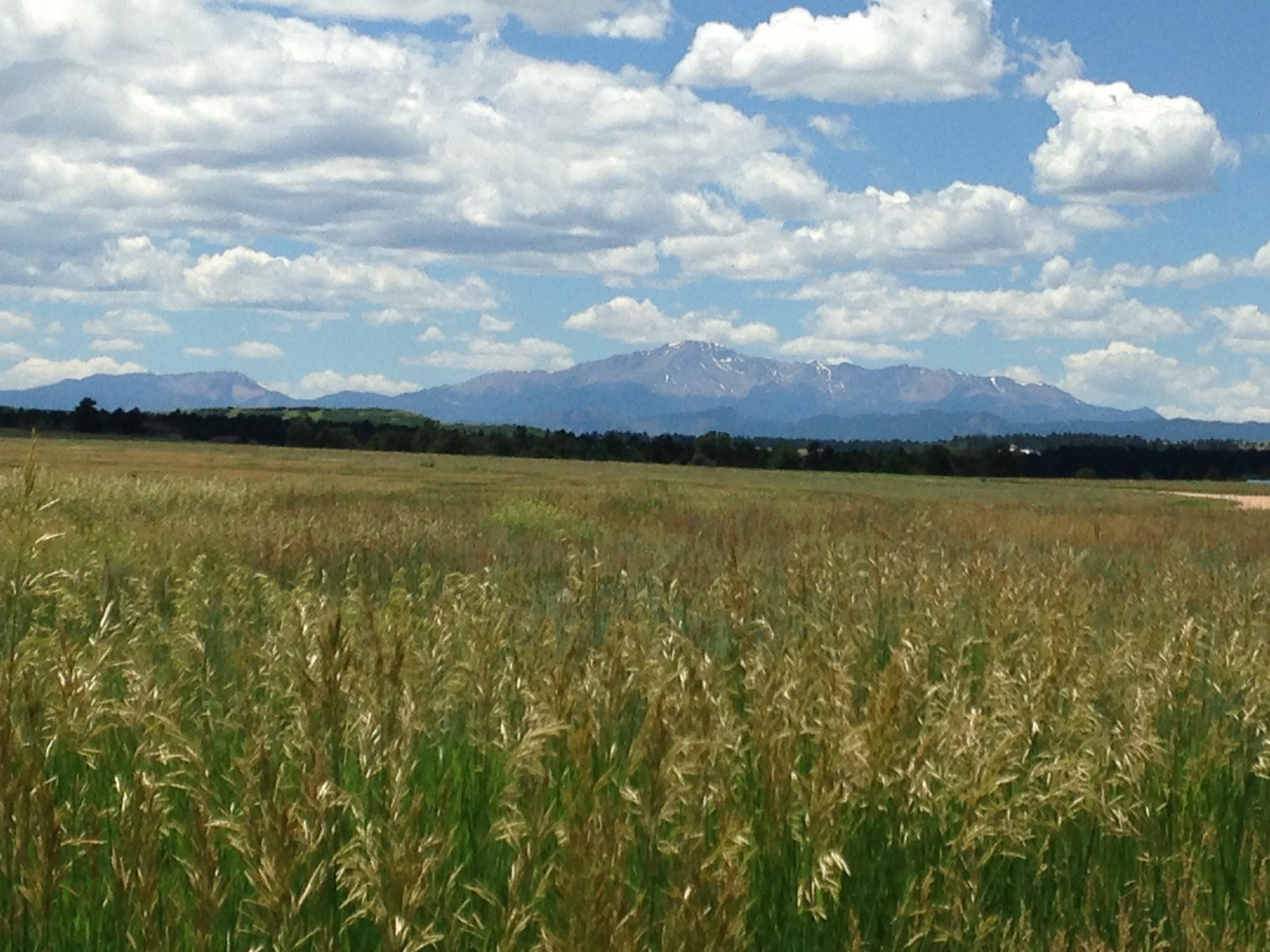 35.02 acres in Douglas County, Colorado