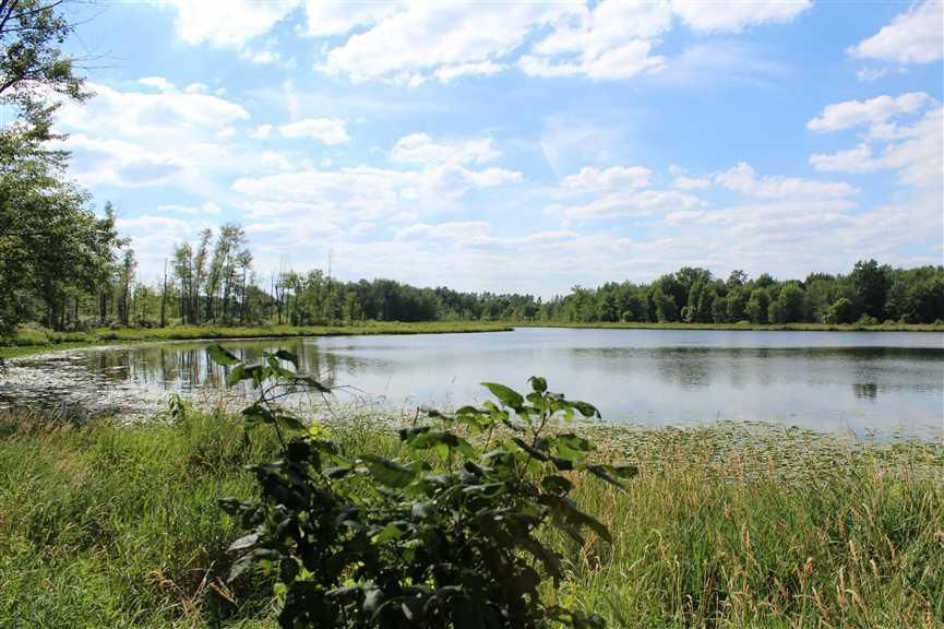 154.00 acres in Steuben County, Indiana