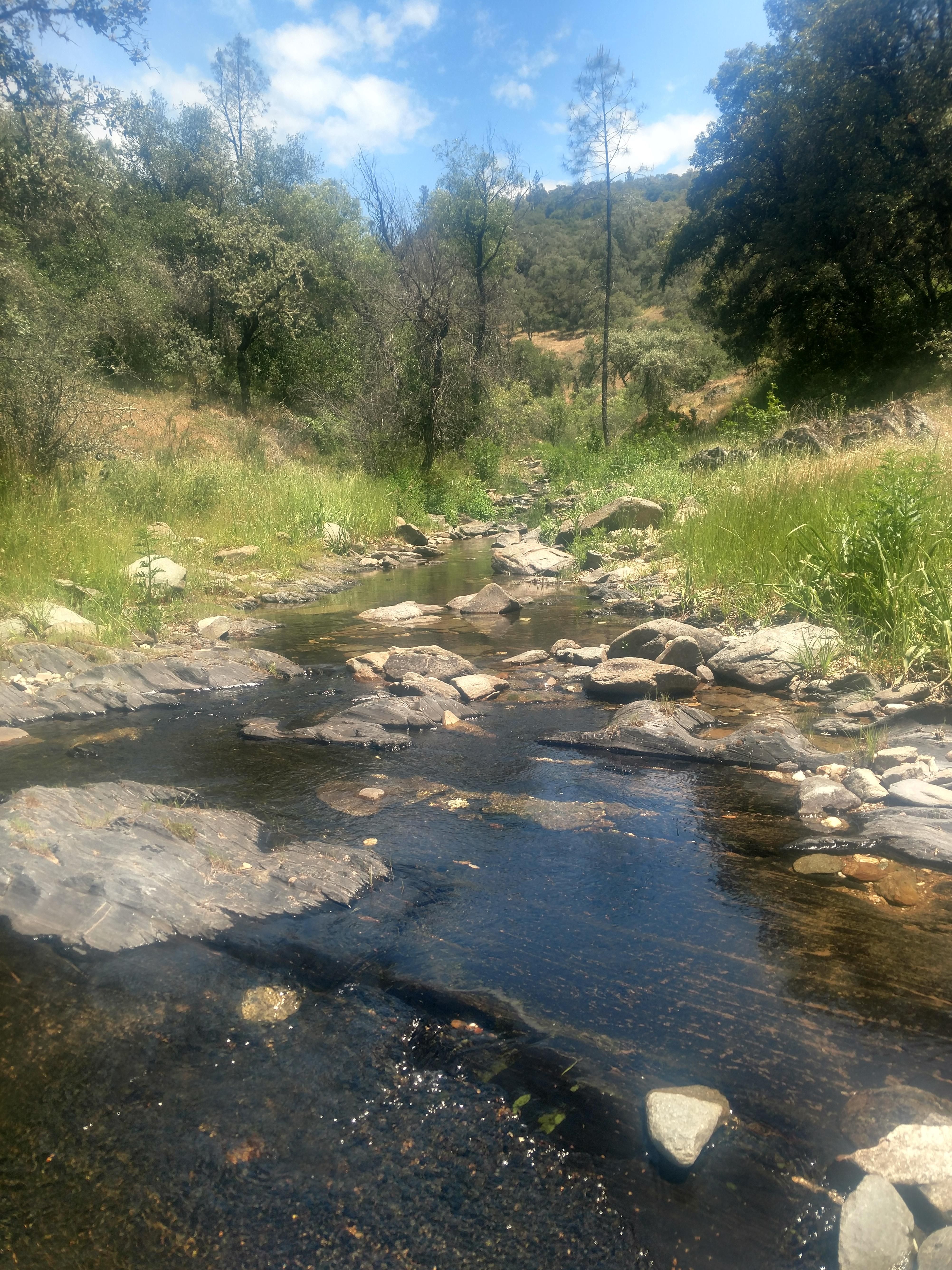 10.88 acres in El Dorado County, California