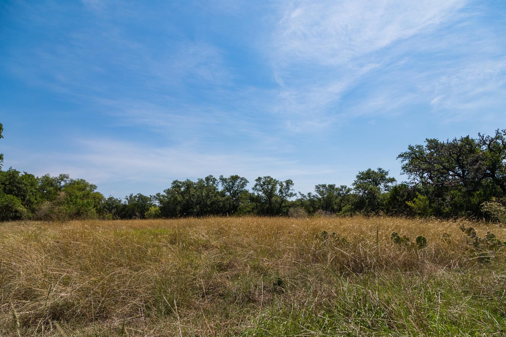 640 acres in Medina County, Texas