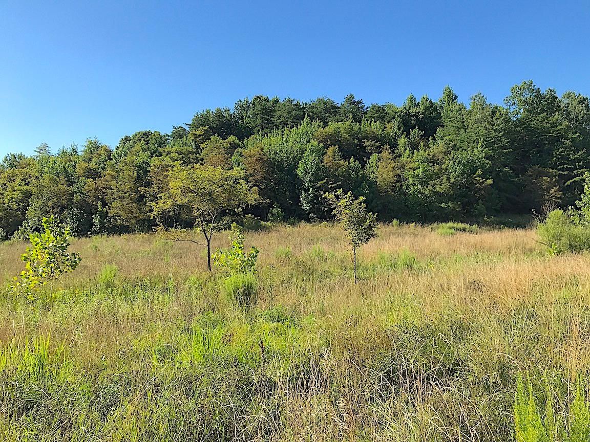 96.2 acres in Gallia County, Ohio