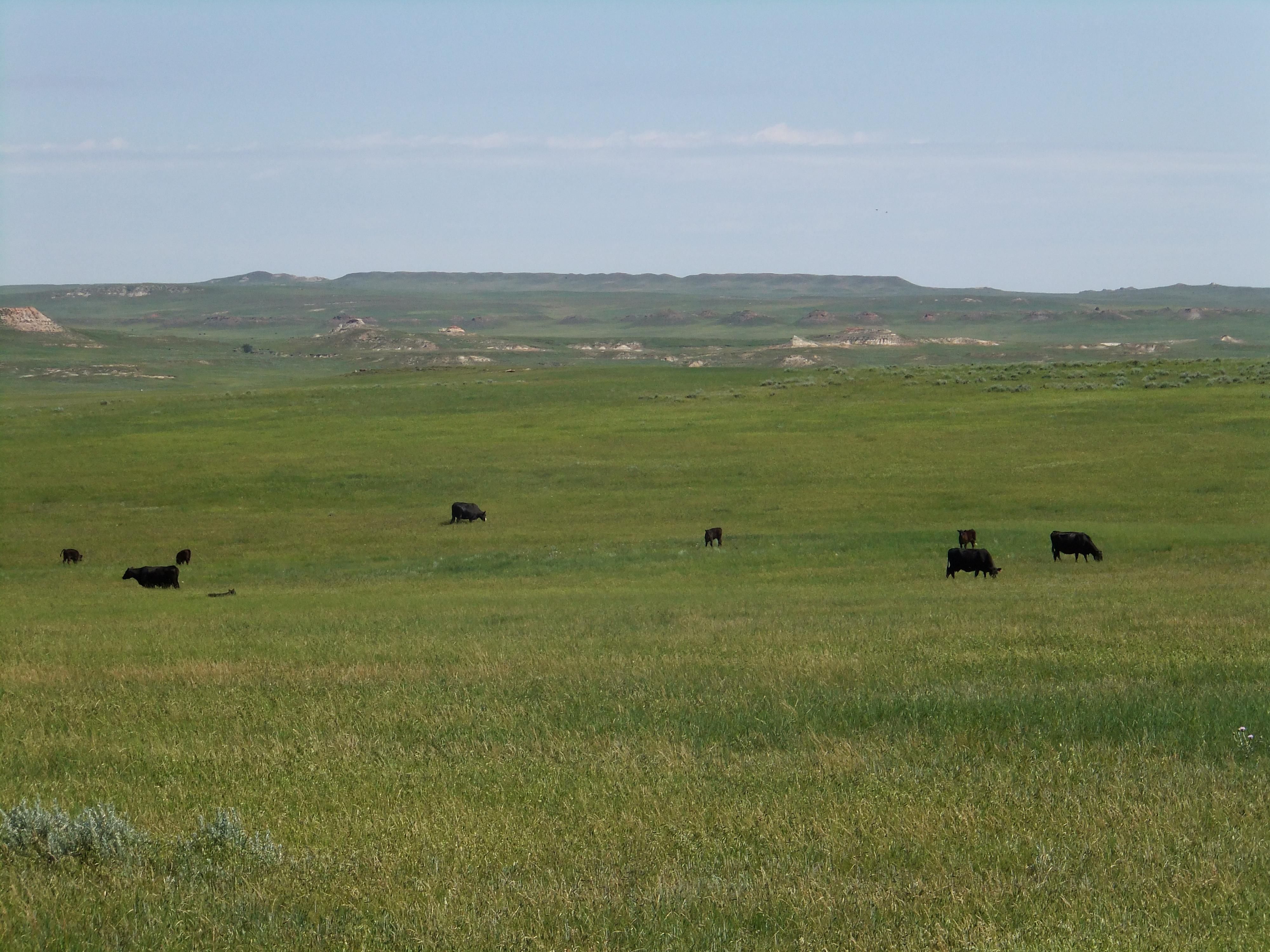 13,530 acres in Custer County, Montana