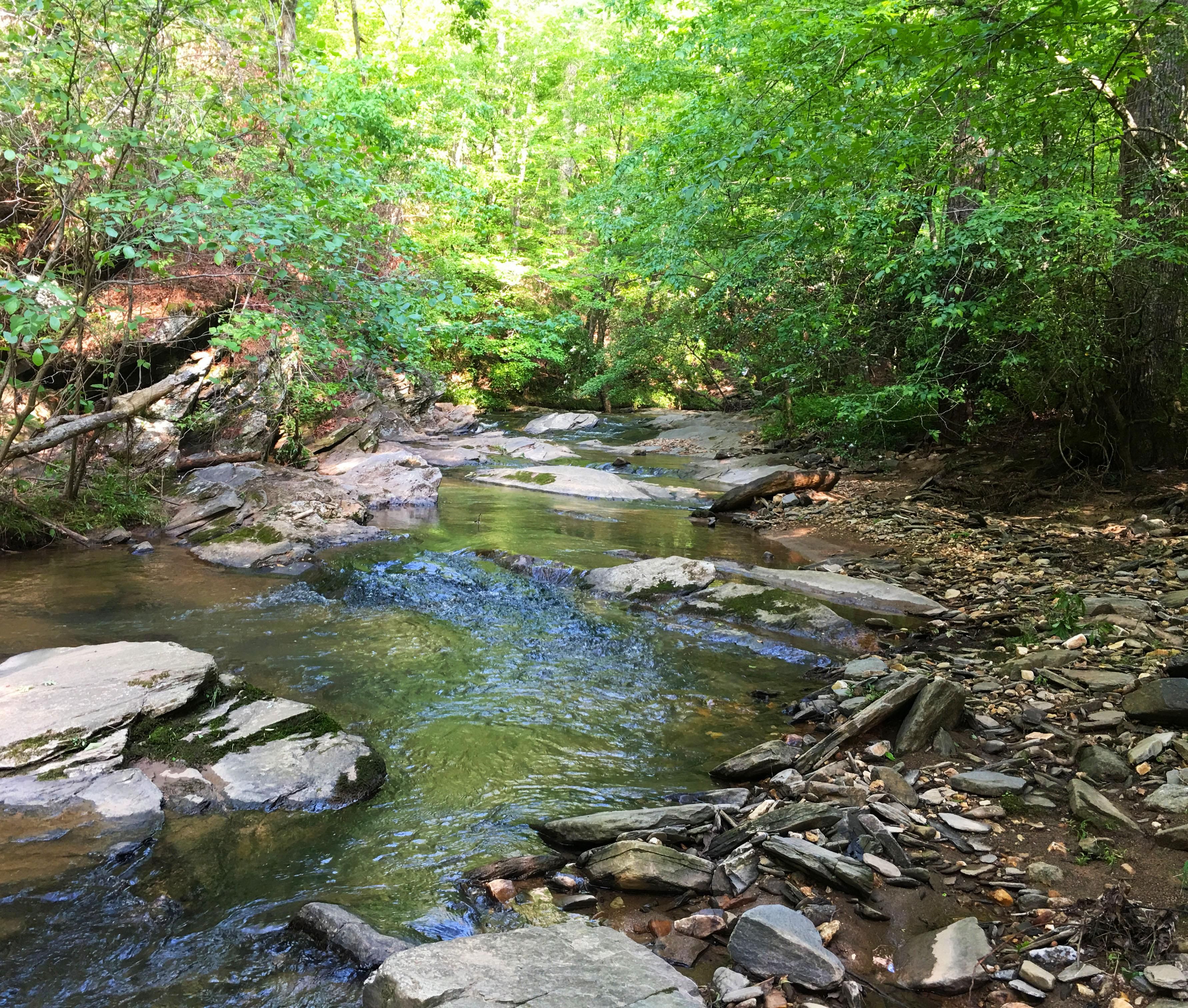 297.7 acres in Pickens County,