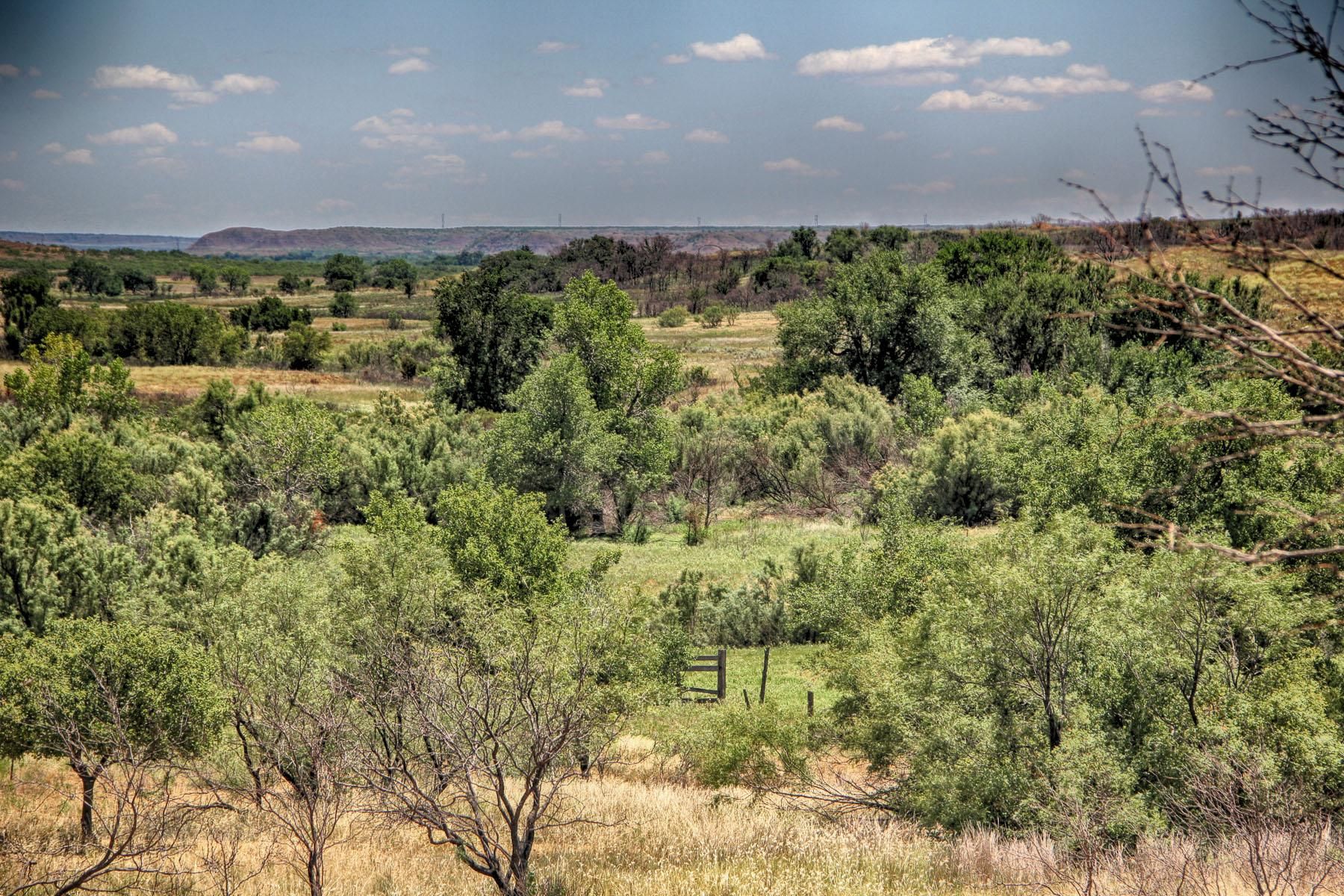 1,600 acres in Wheeler County, Texas