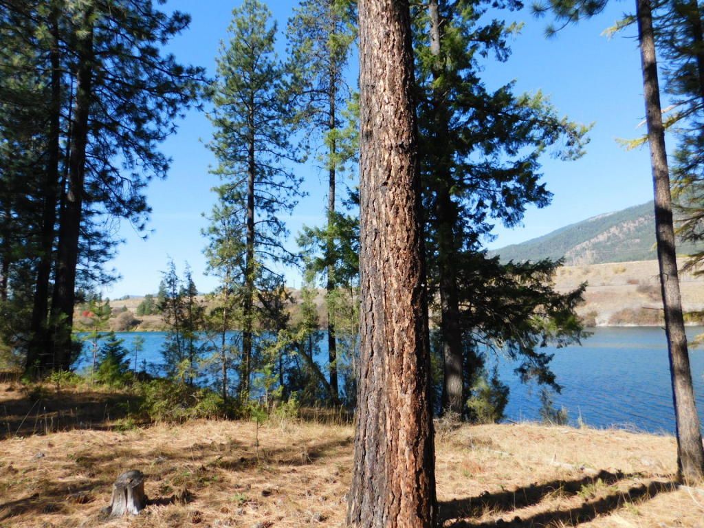 20 acres in Sanders County, Montana