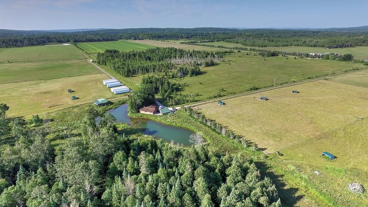 341 acres in Emmet County, Michigan