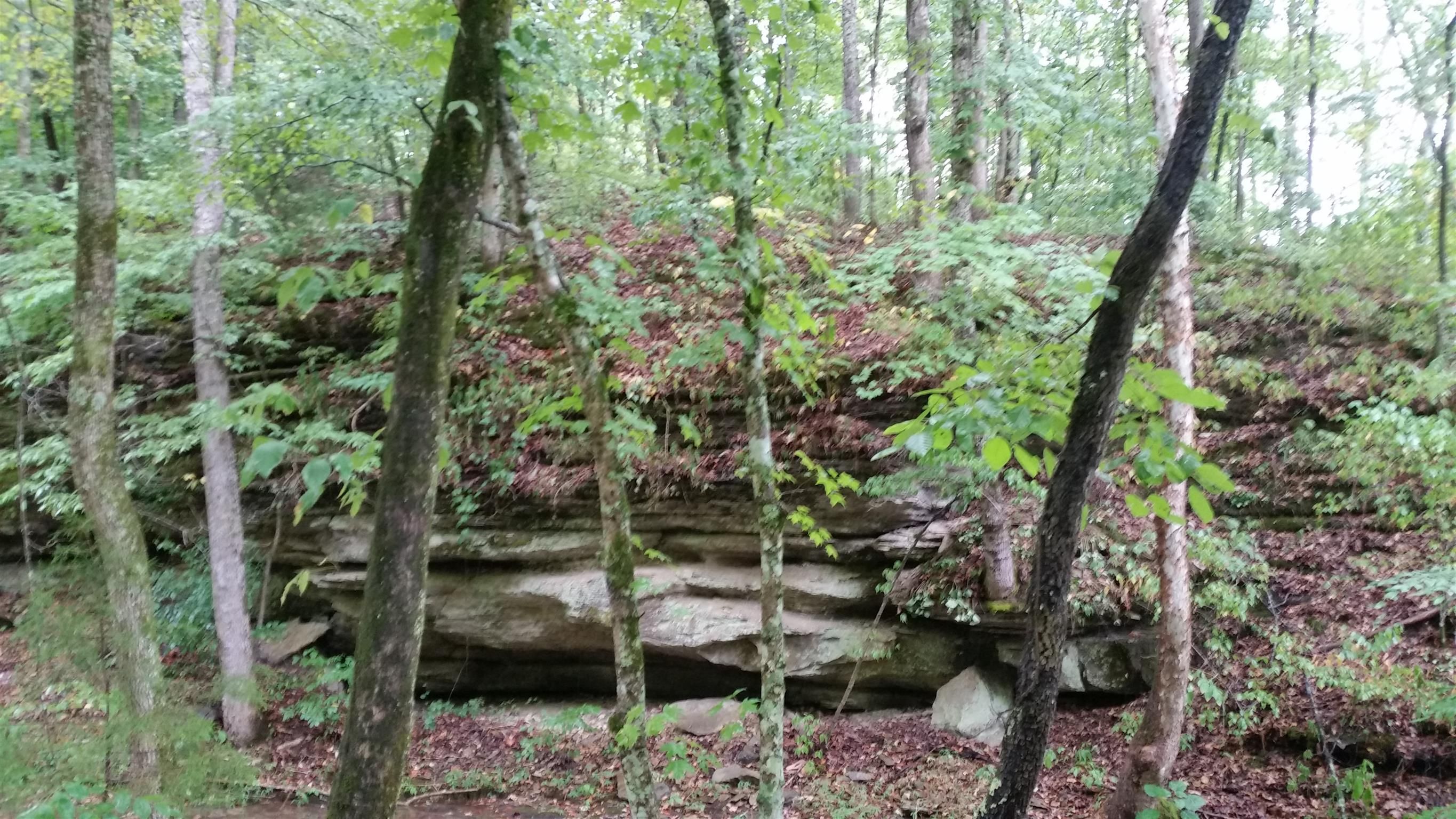 115.94 acres in Cheatham County, Tennessee