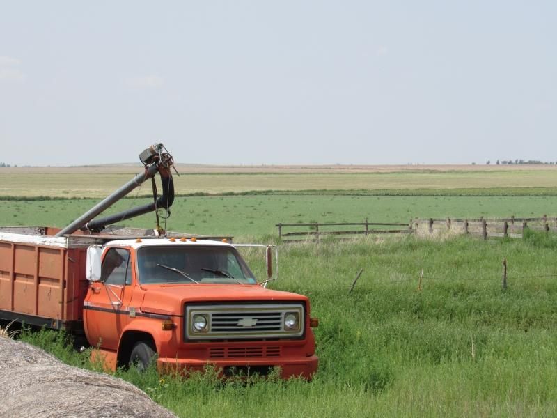 886 acres in Beaver County, Oklahoma