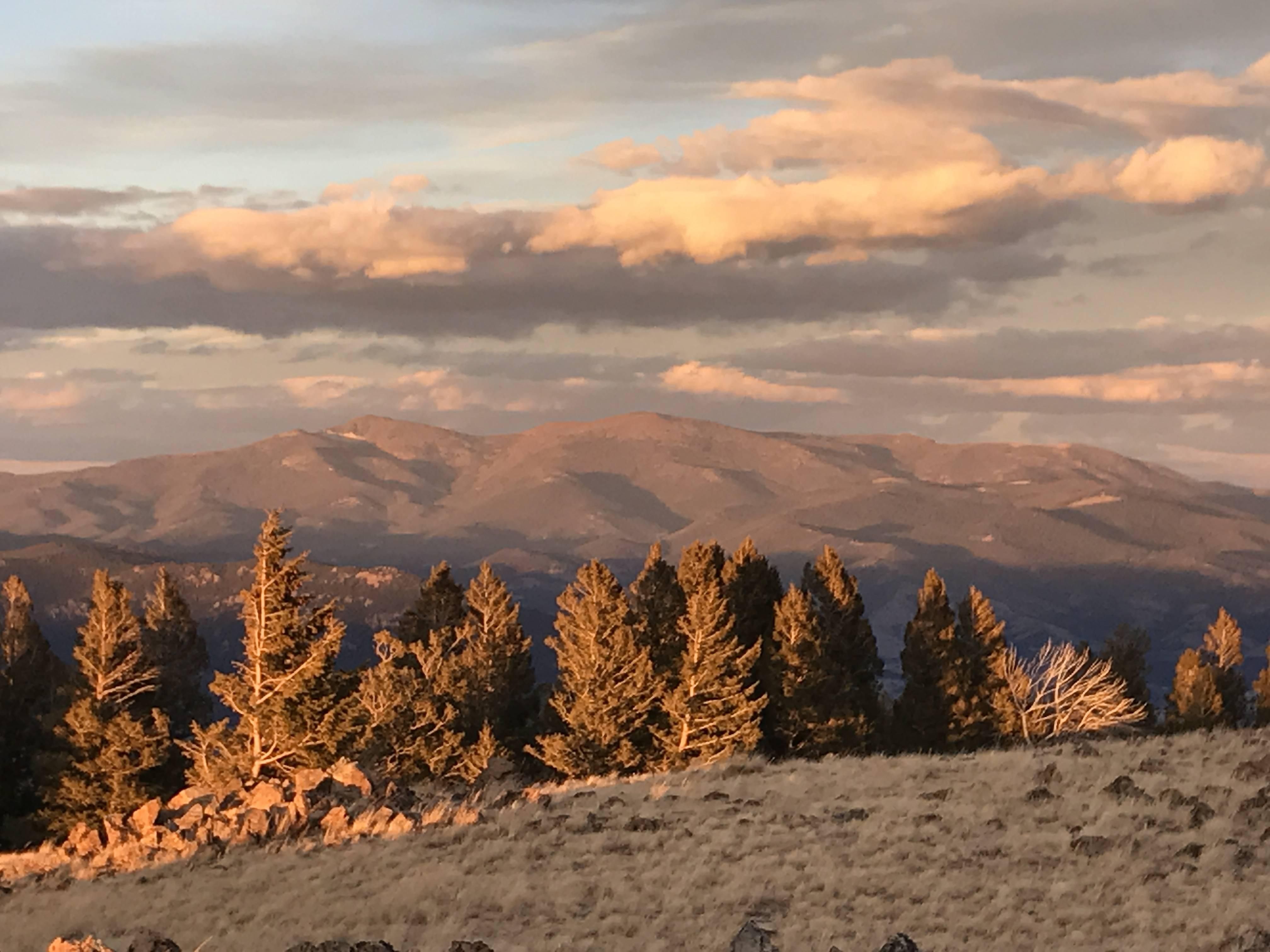 598.4 acres in Jefferson County, Montana