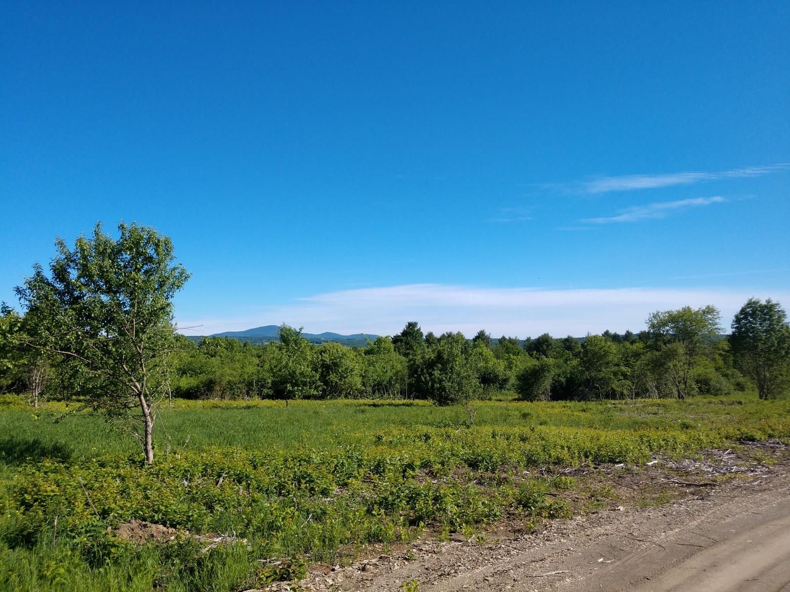 85 acres in Aroostook County, Maine