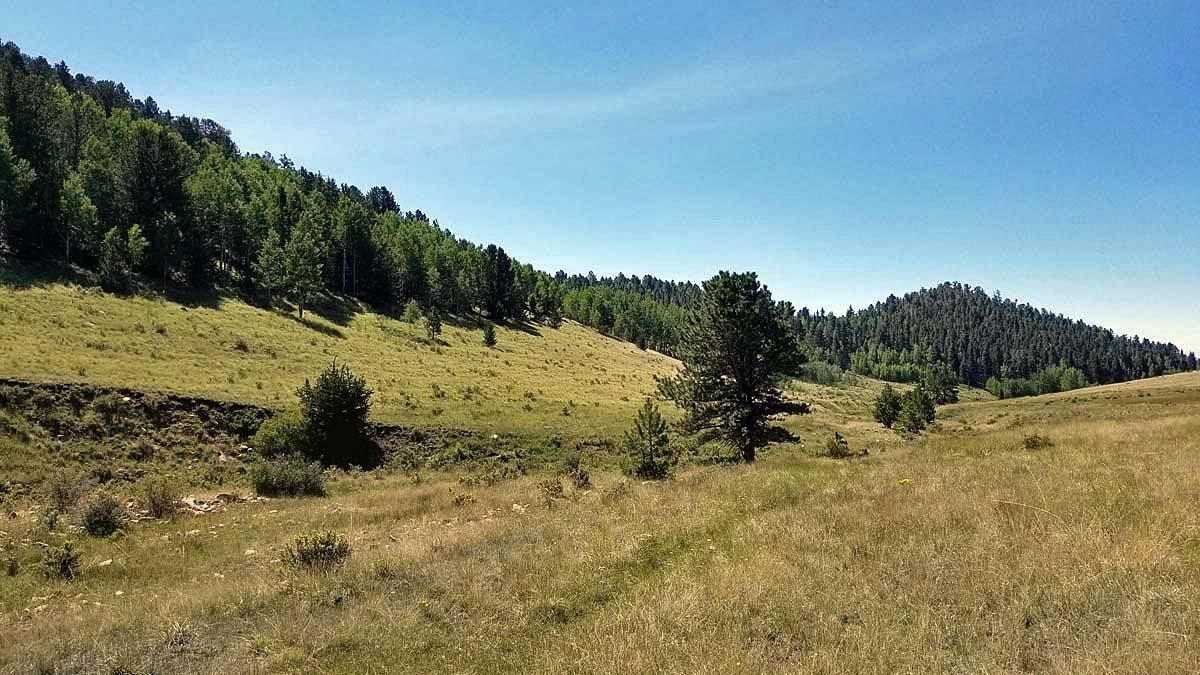 39.7 acres in Teller County, Colorado