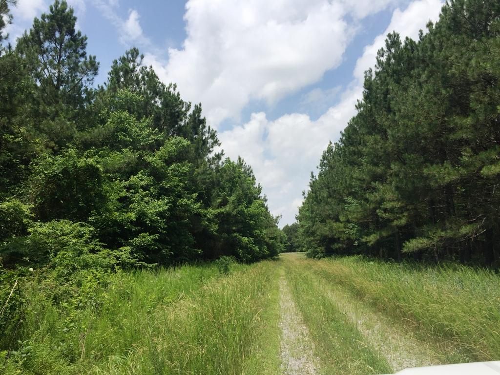 540 acres in Crittenden County, Kentucky