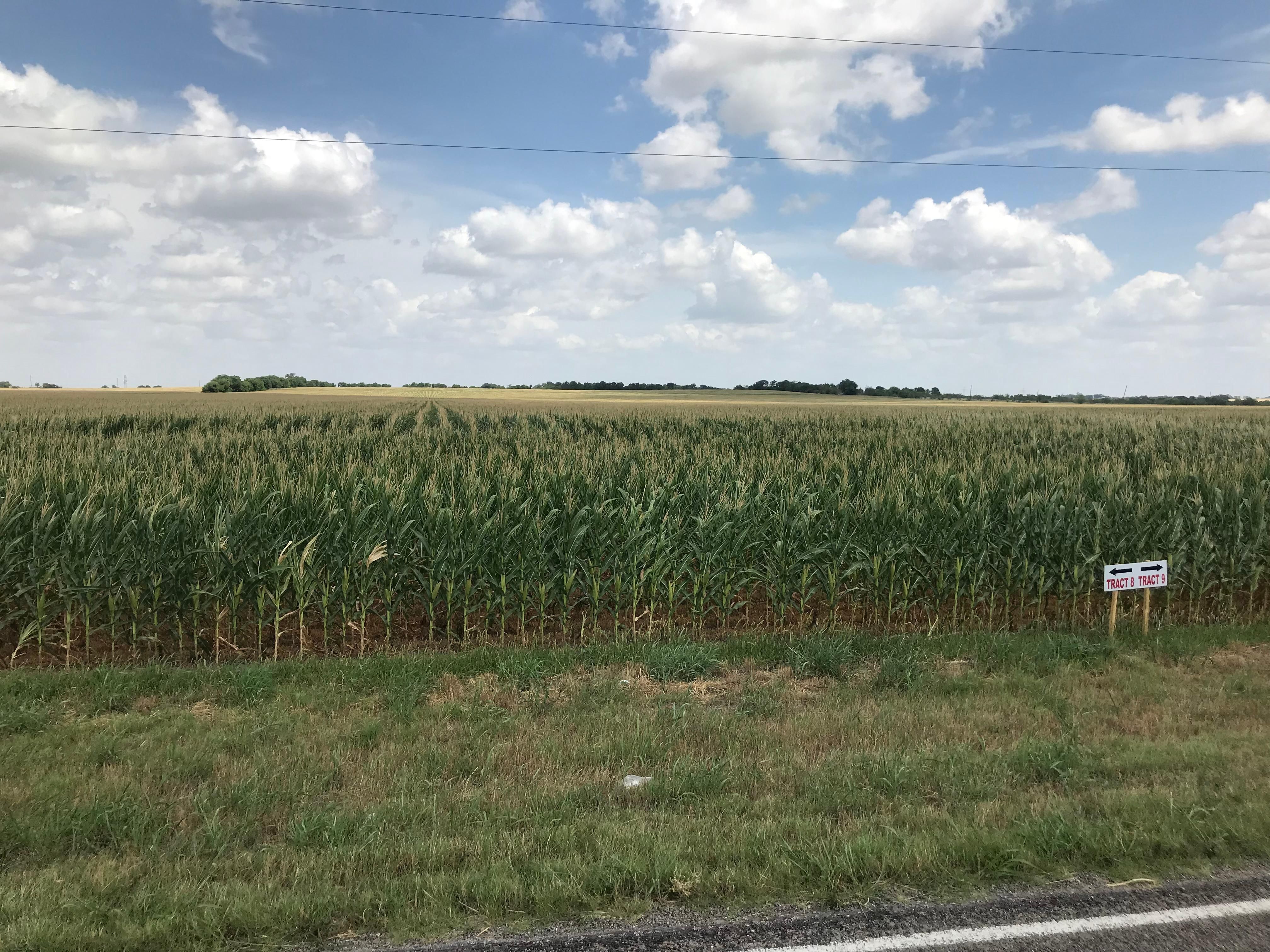 13.00 acres in Falls County, Texas