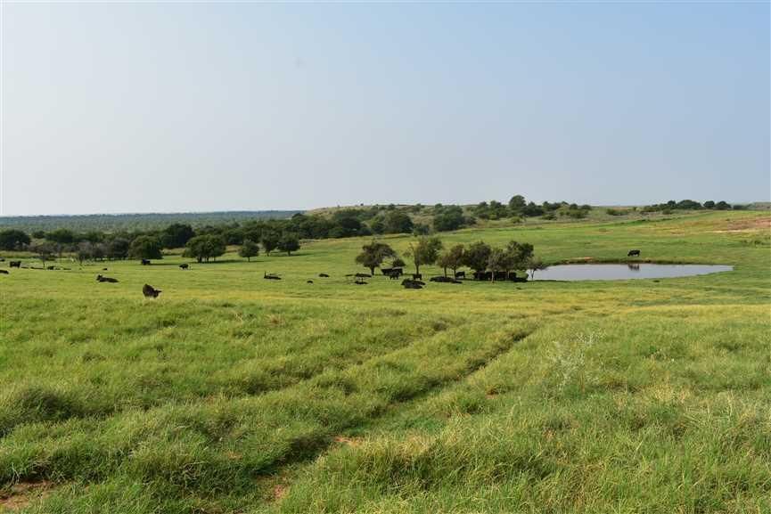 160 acres in Cotton County, Oklahoma