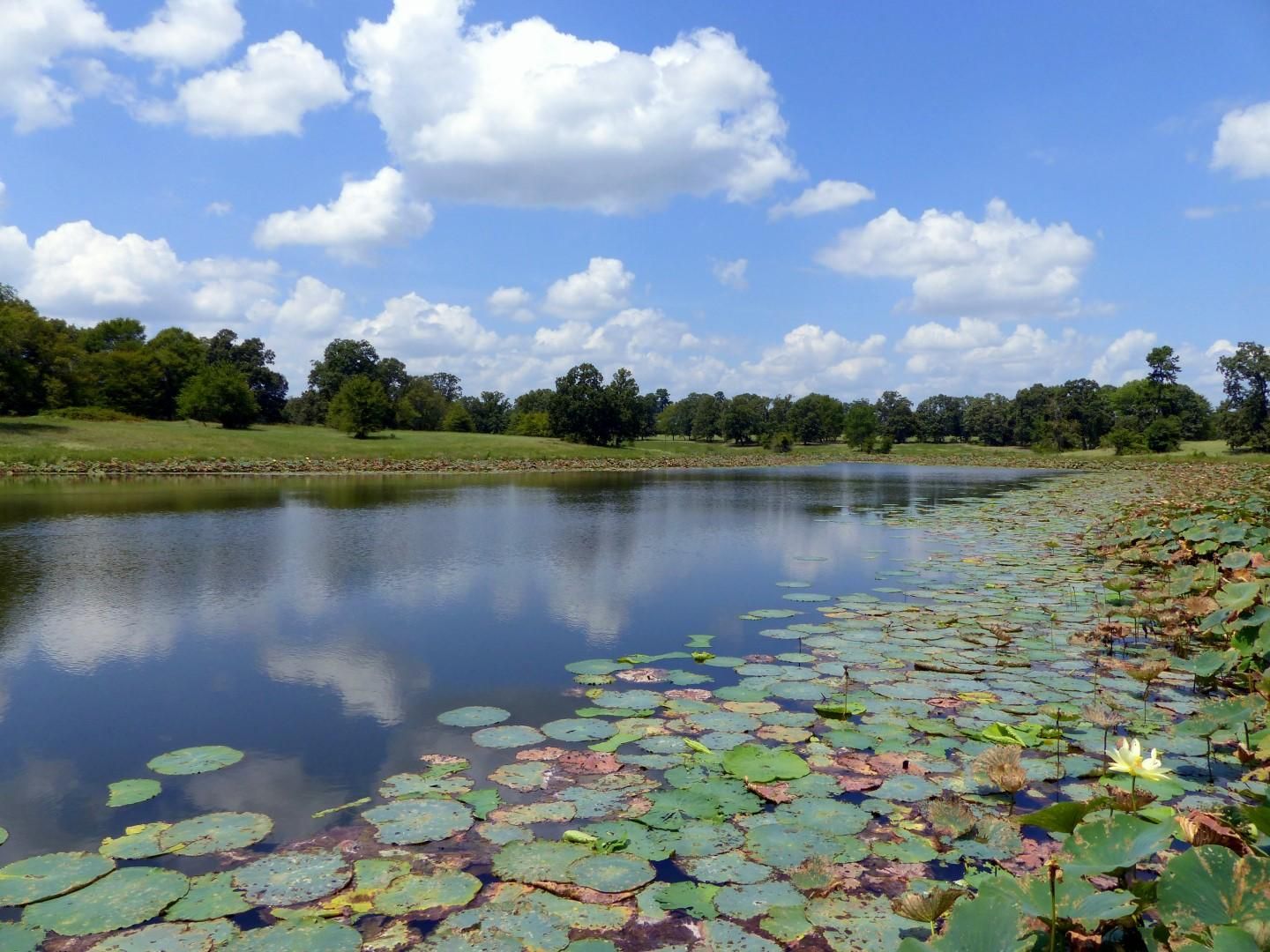 621 acres in Red River County, Texas