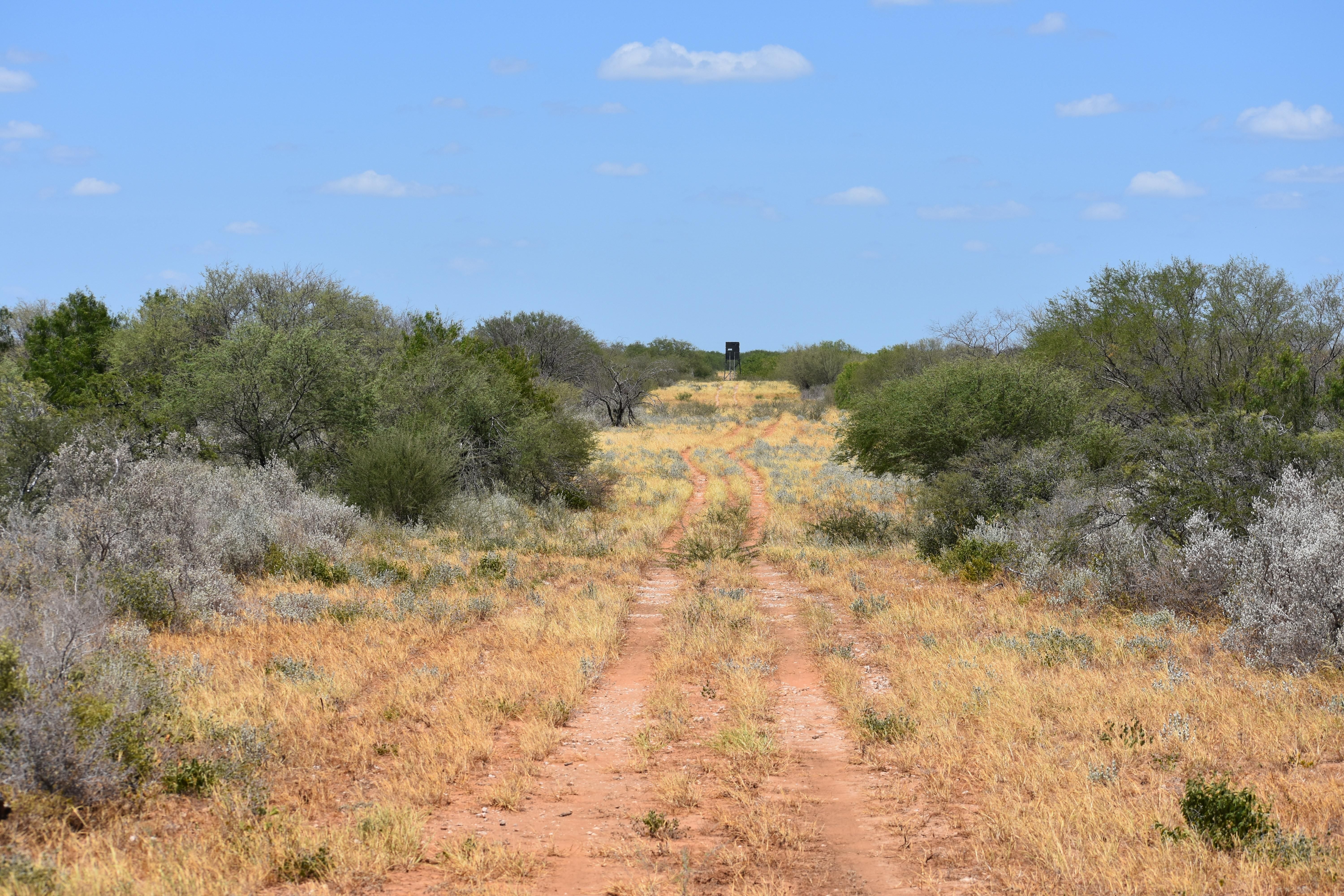 610 acres in Starr County, Texas