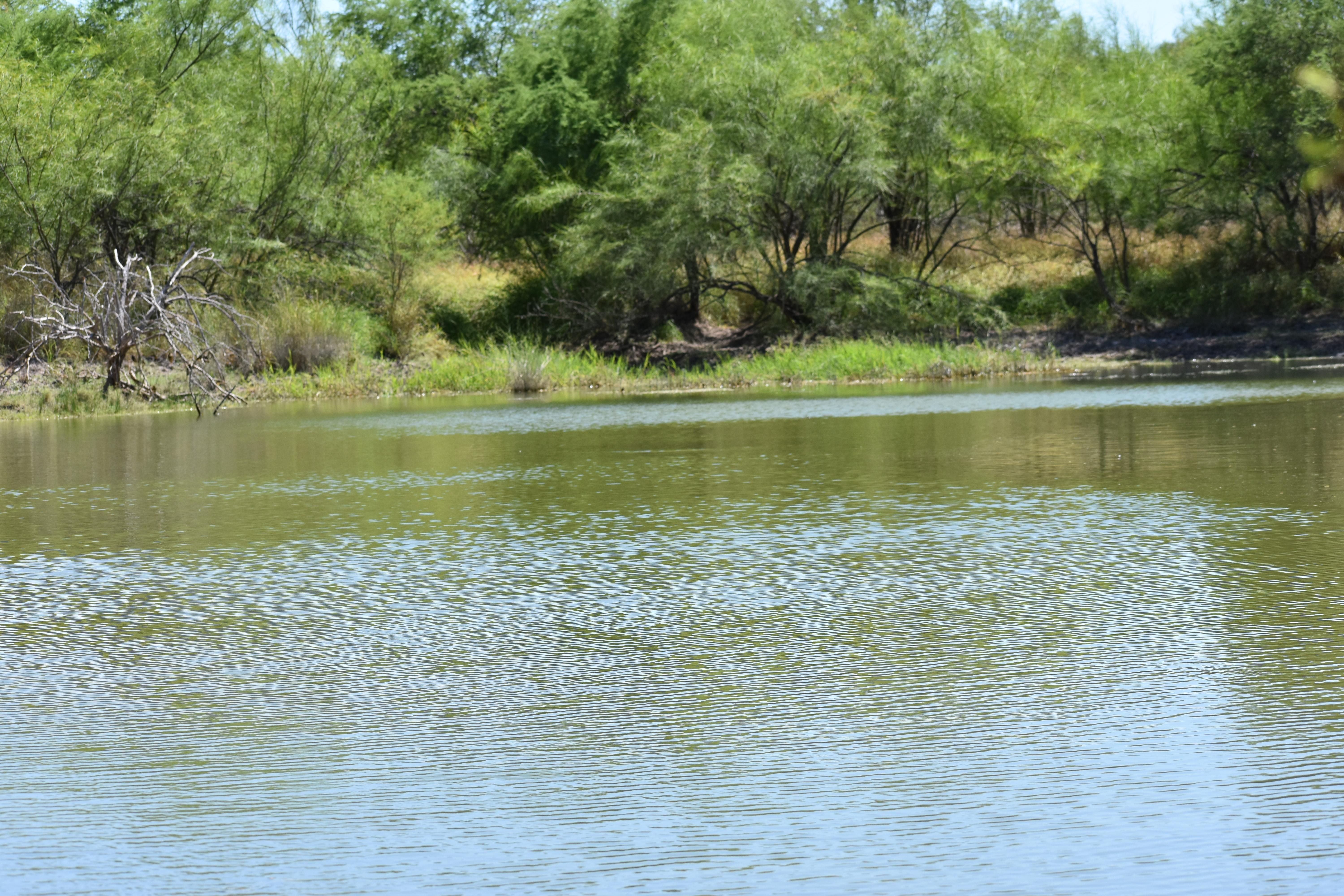 168 acres in Starr County, Texas