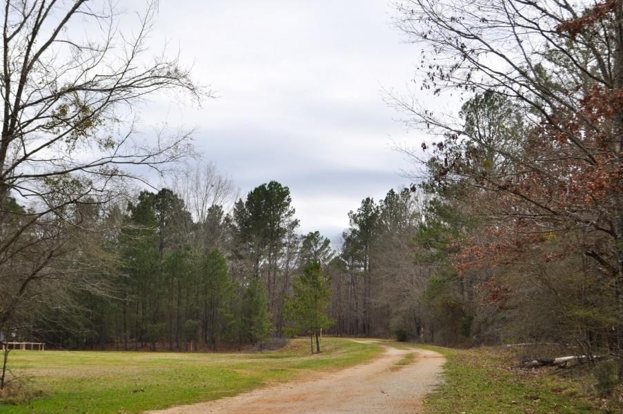 311.00 acres in Panola County, Texas