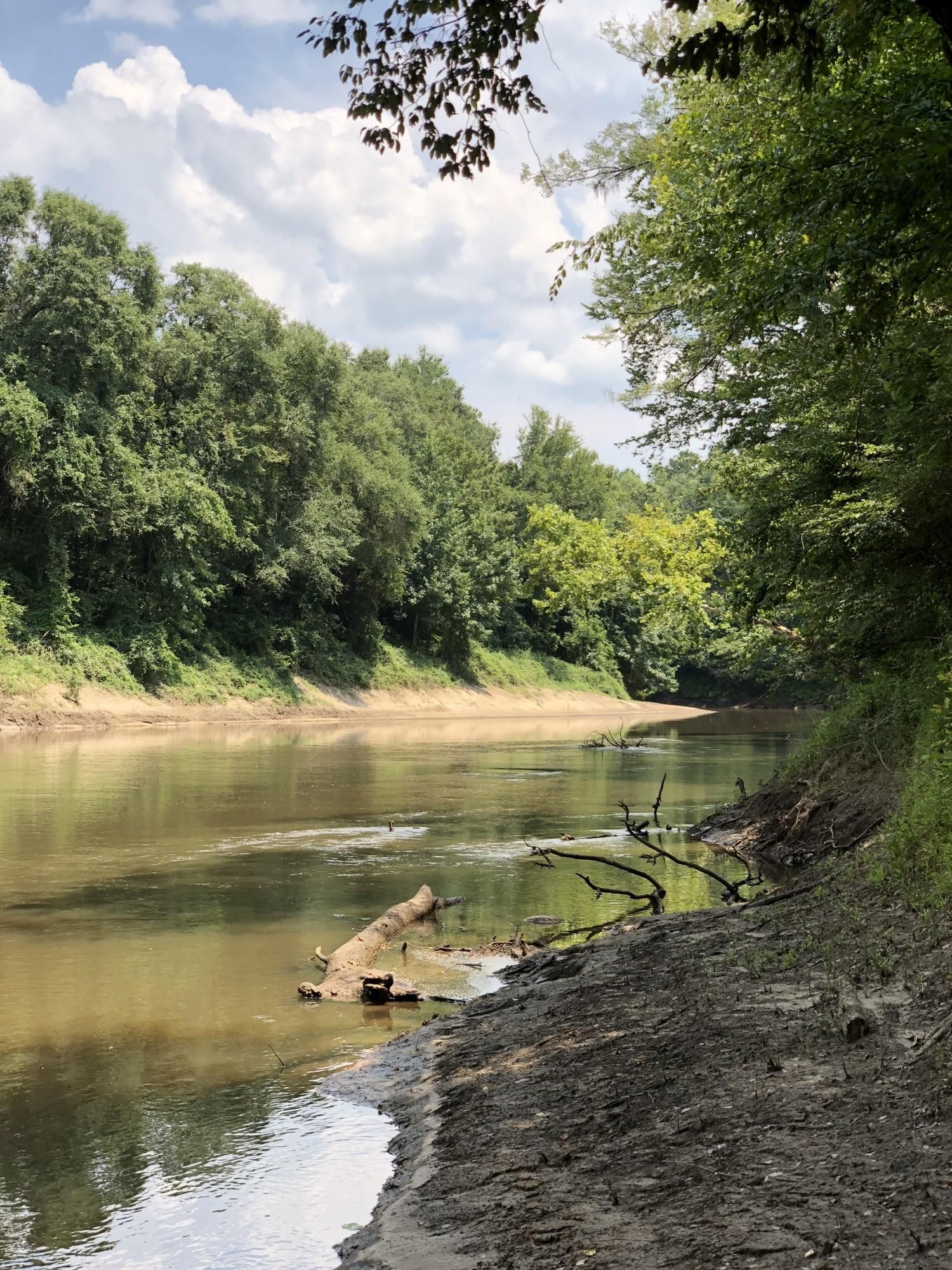 168 acres in Covington County, Alabama