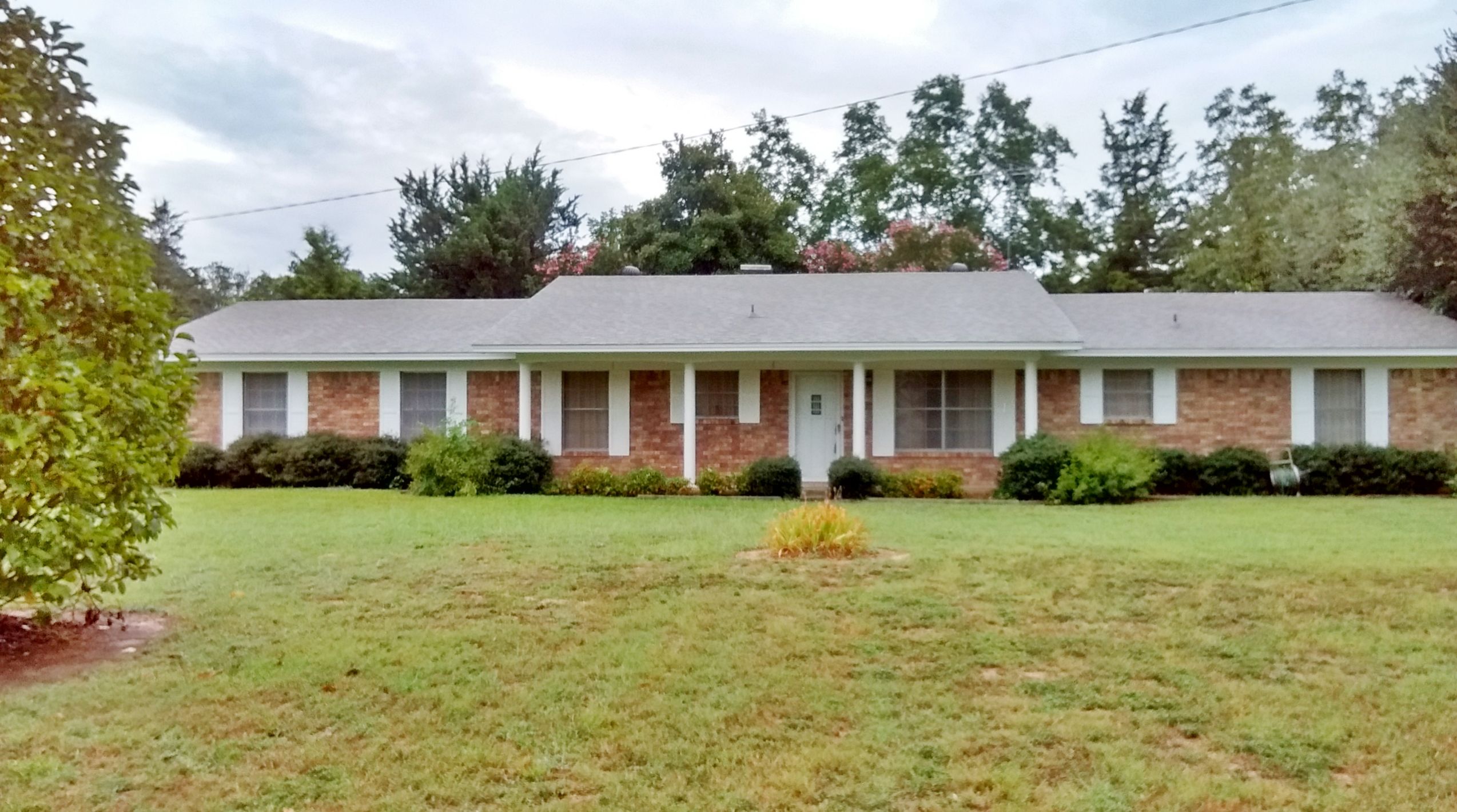 19 acres in Bowie County, Texas