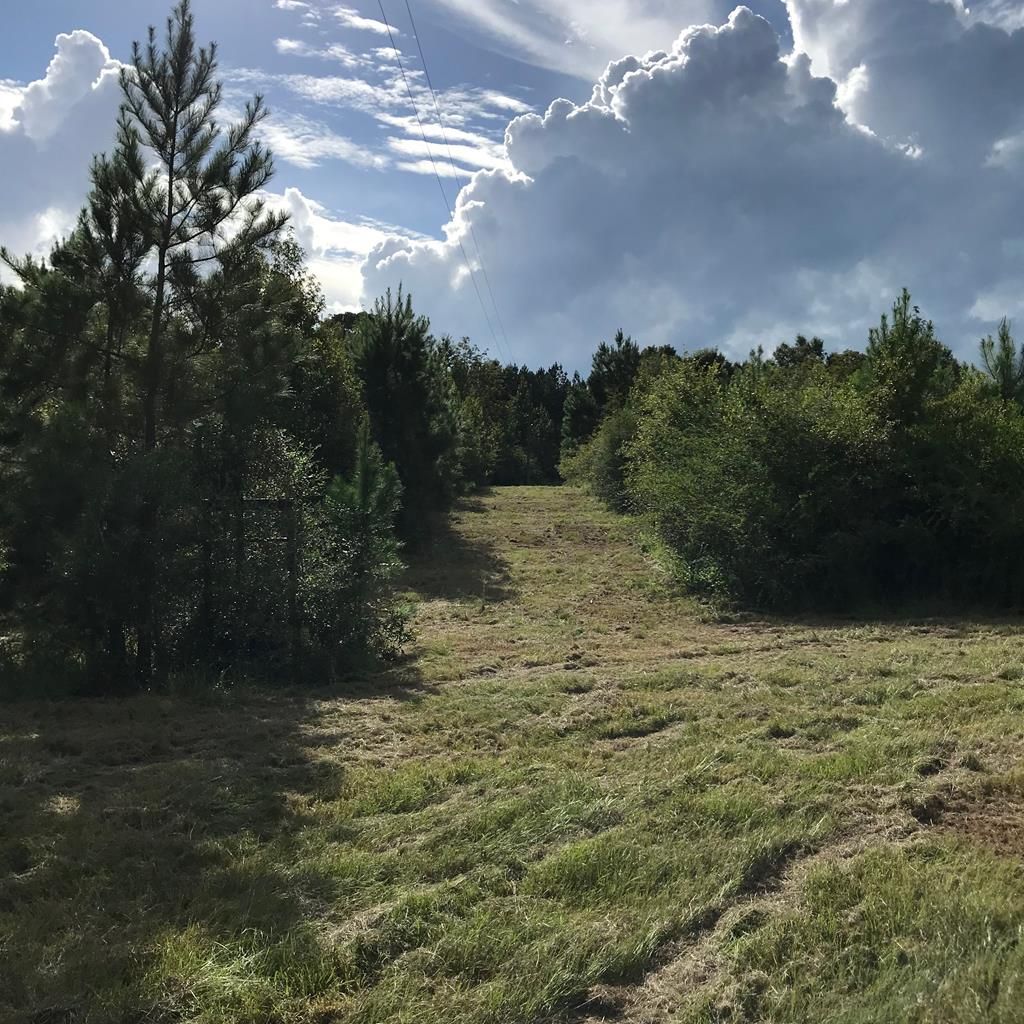 73.66 acres in Pike County, Mississippi