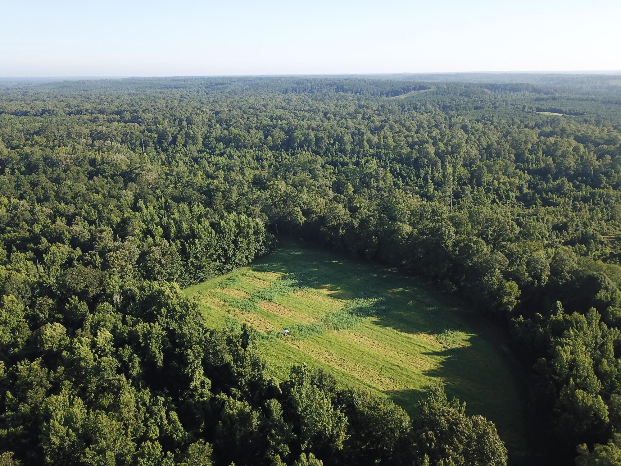 643.00 acres in Clarke County, Alabama