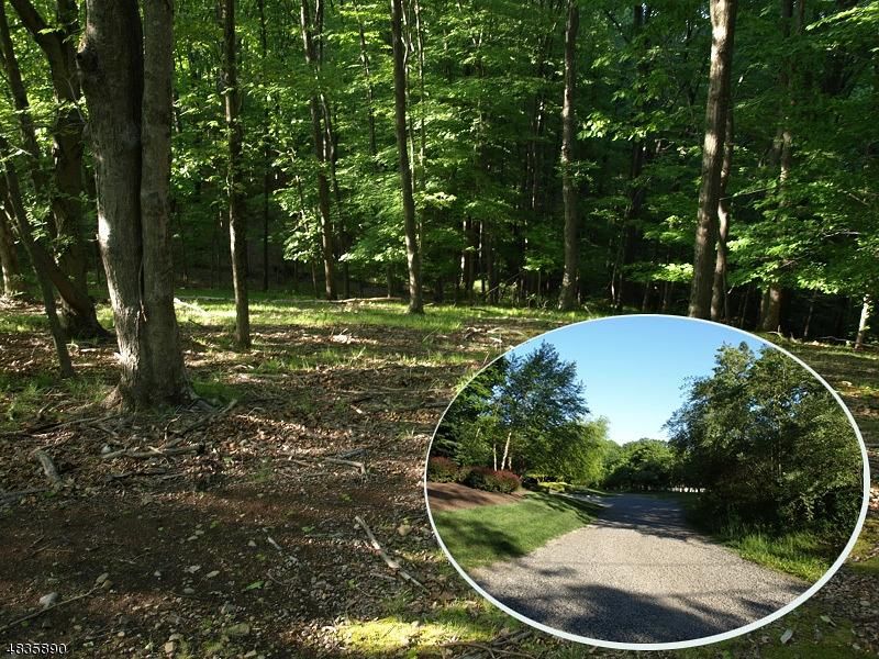10.02 acres in Morris County, New Jersey