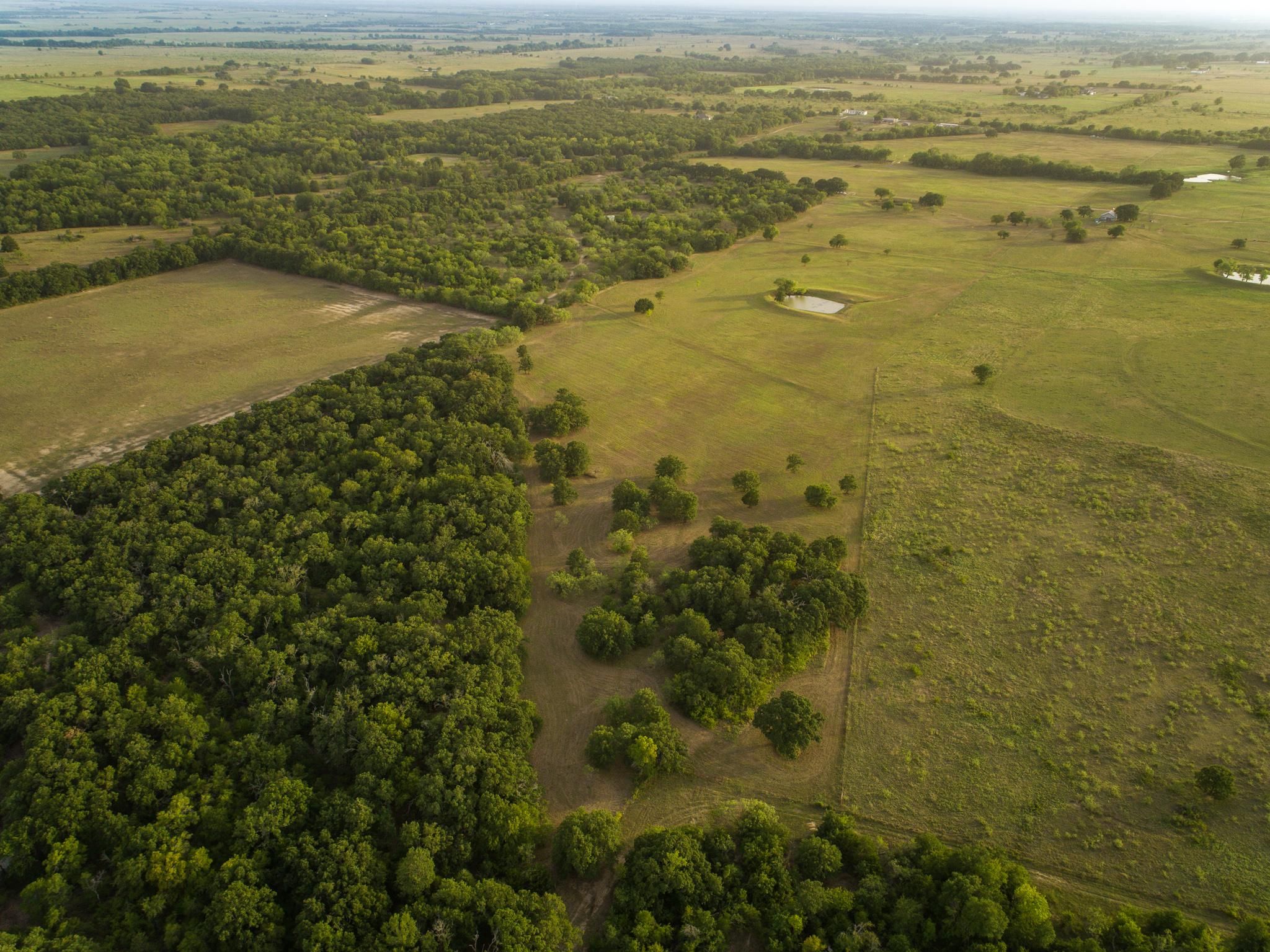 70.8 acres in Limestone County, Texas