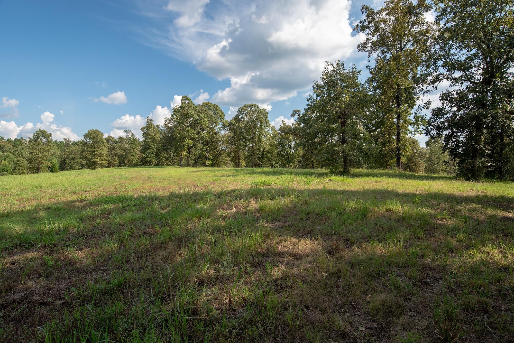 77 acres in Tyler County, Texas