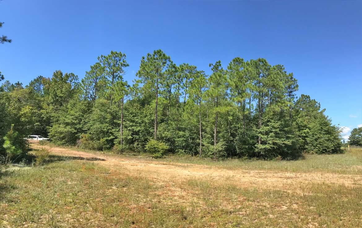 148 acres in Santa Rosa County, Florida