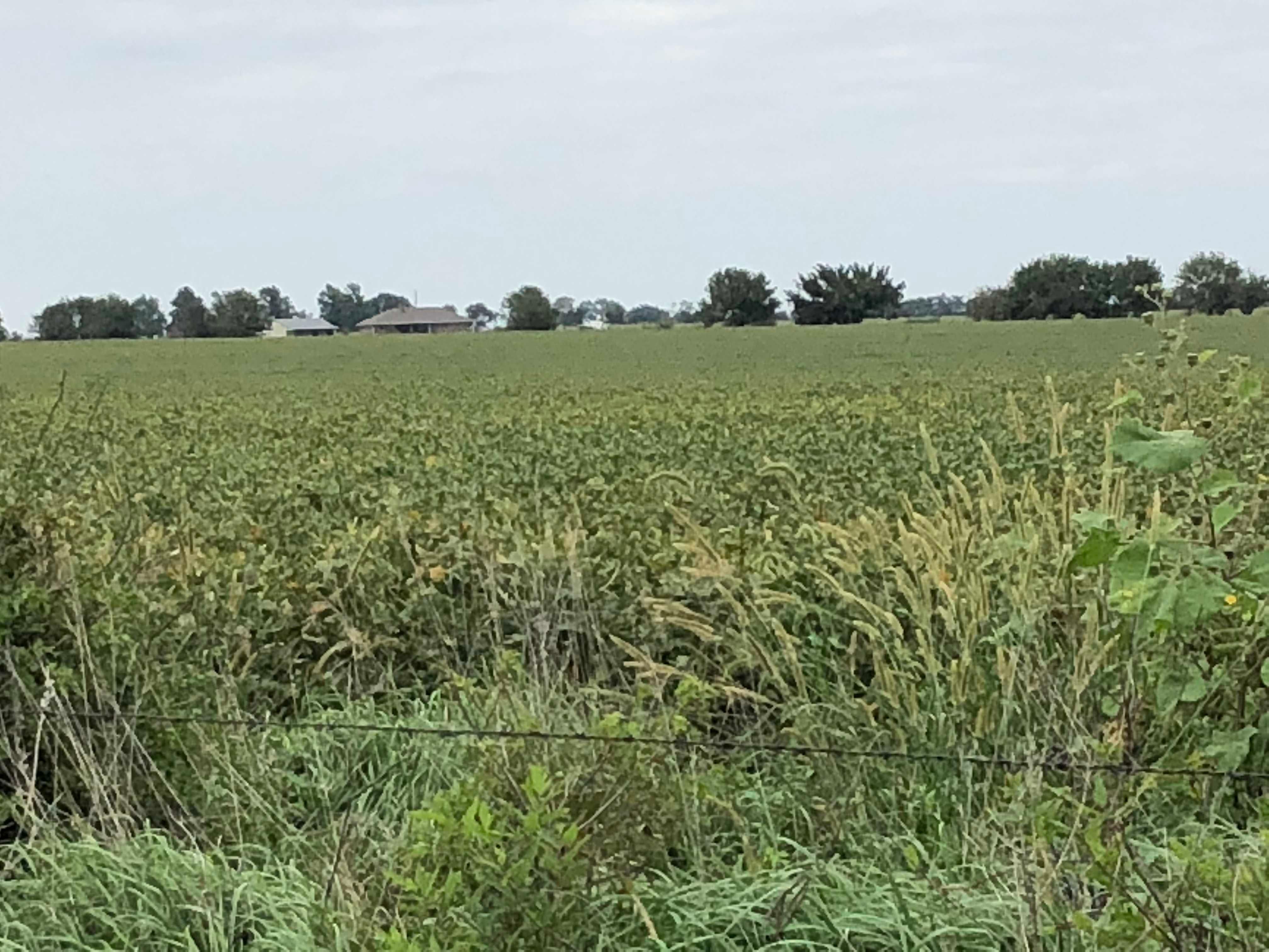 84 acres in Coffey County, Kansas