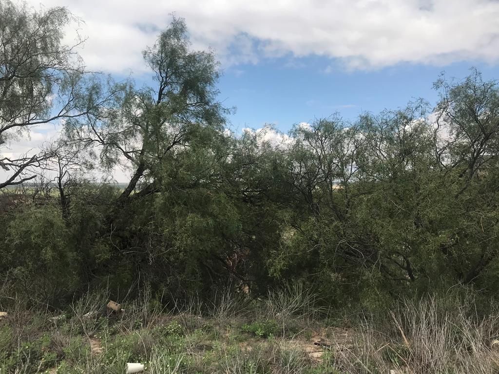 9.59 acres in Howard County, Texas