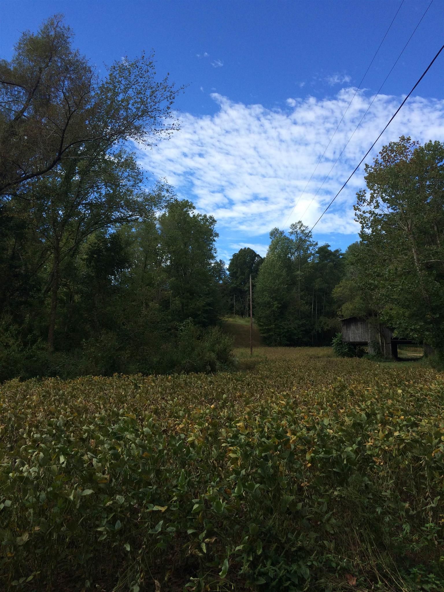 22.9 acres in Macon County, Tennessee