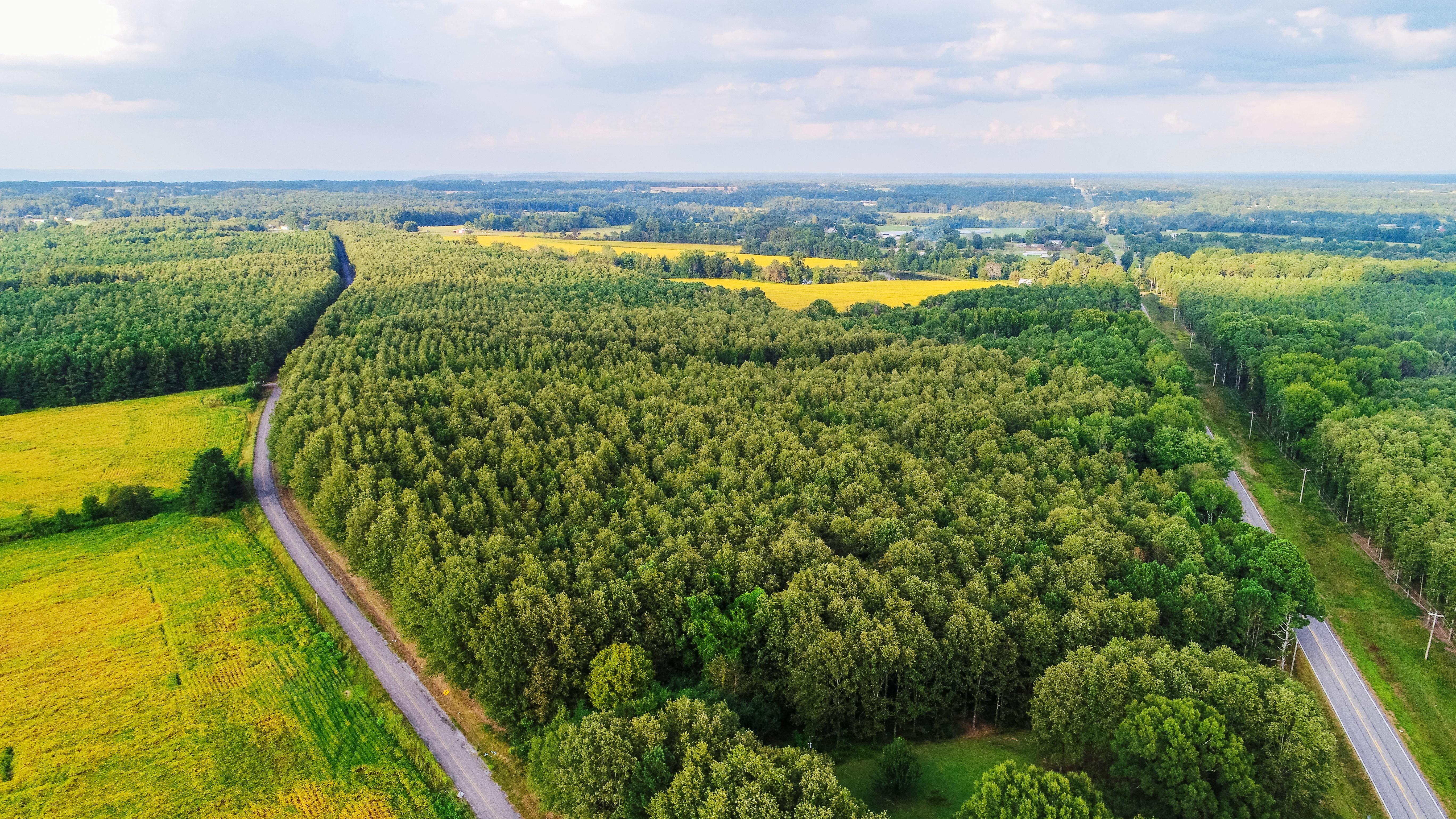 378 acres in Jackson County, Alabama