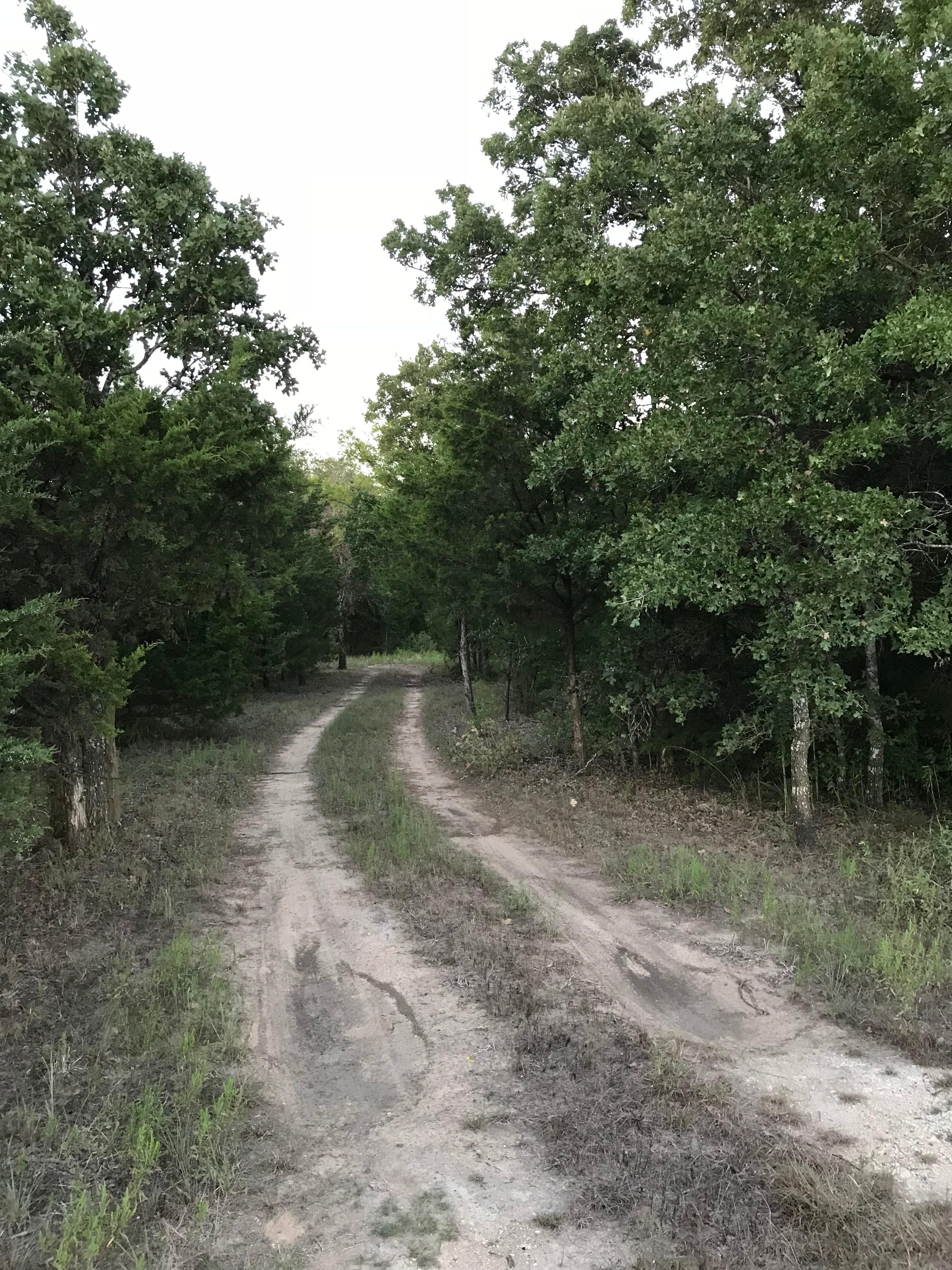 19 acres in Limestone County, Texas