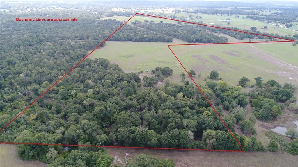 79.86 acres in Grimes County, Texas