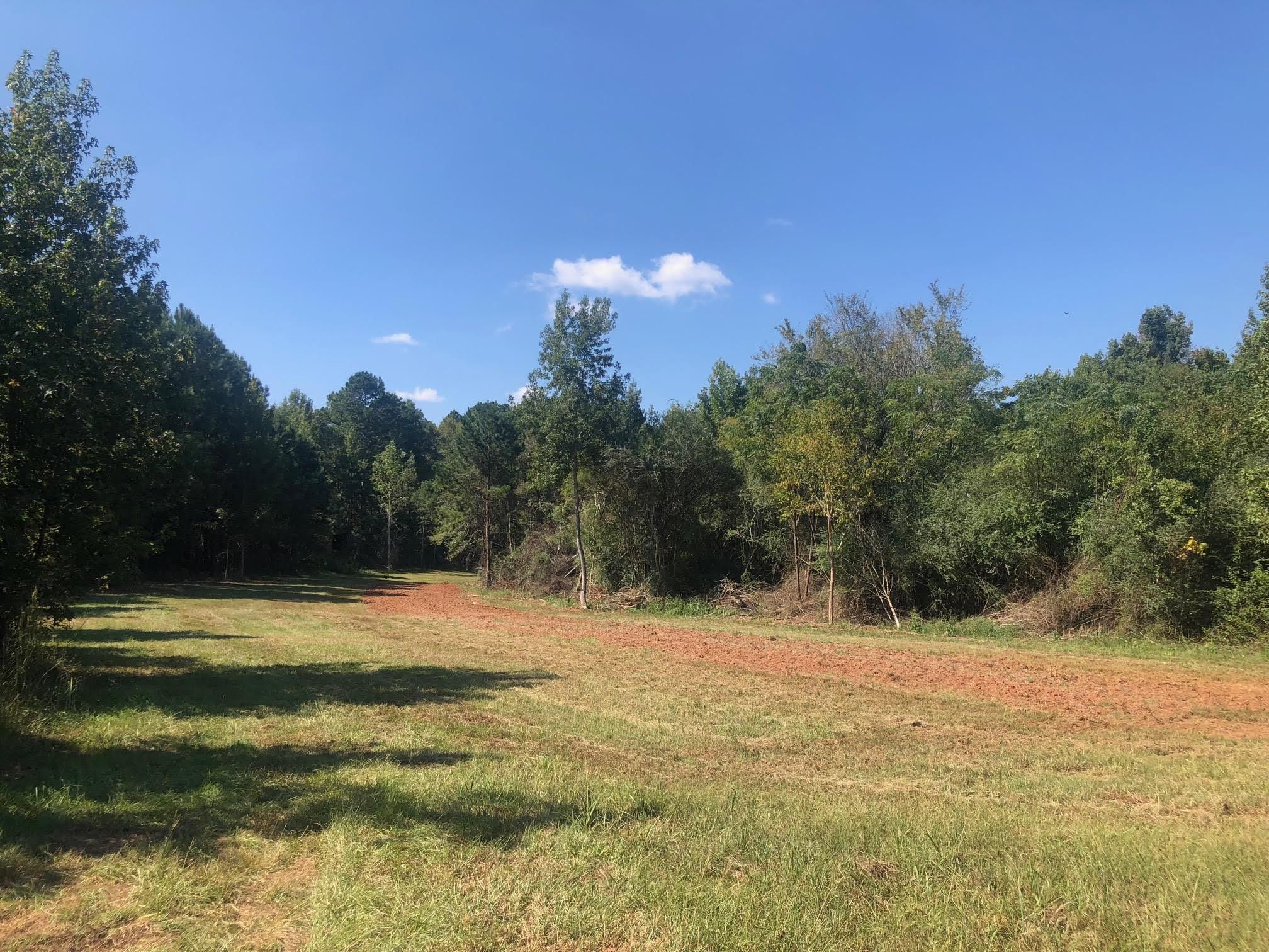 34 acres in Jones County,