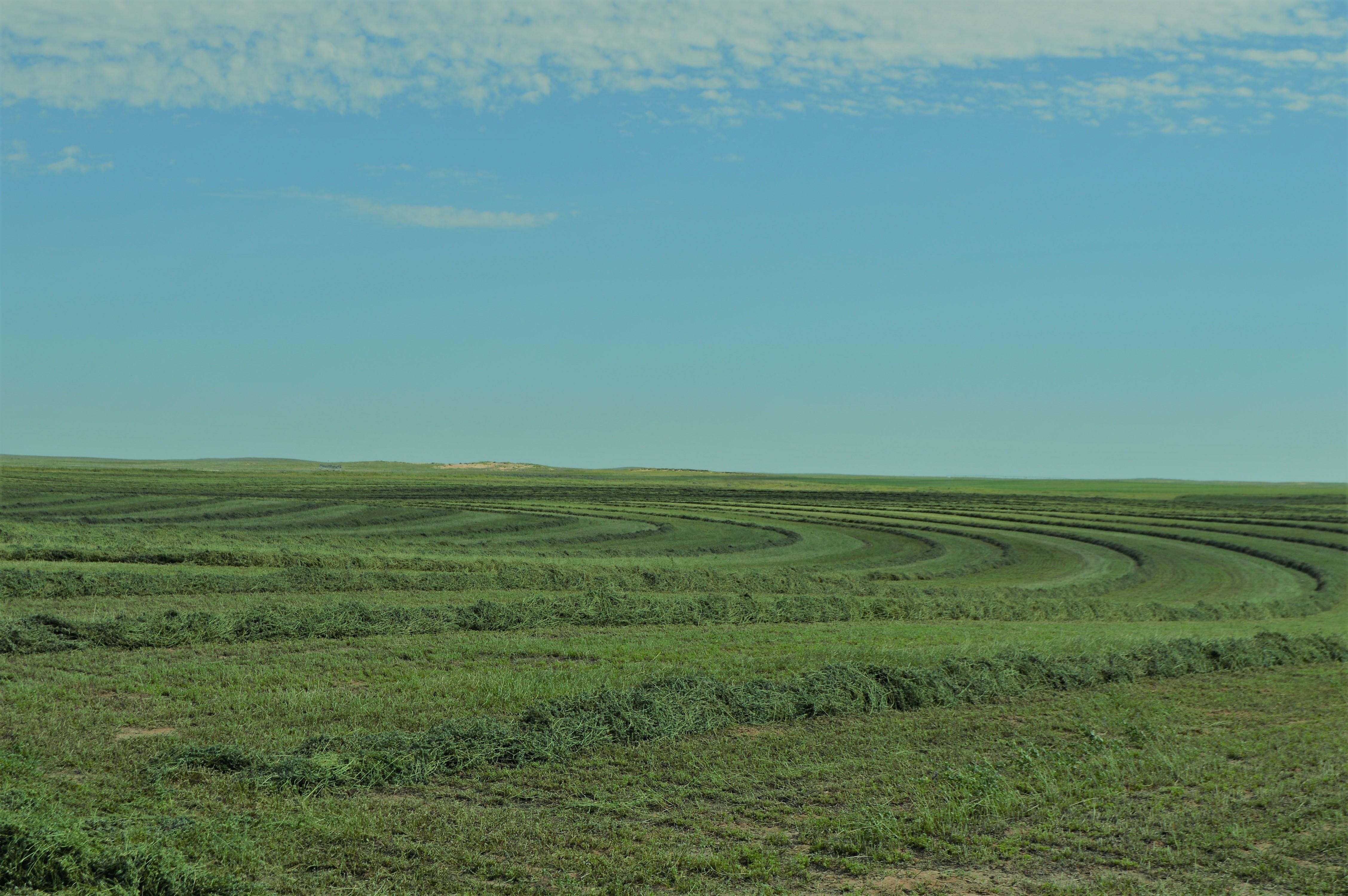 7,334 acres in Cimarron County, Oklahoma