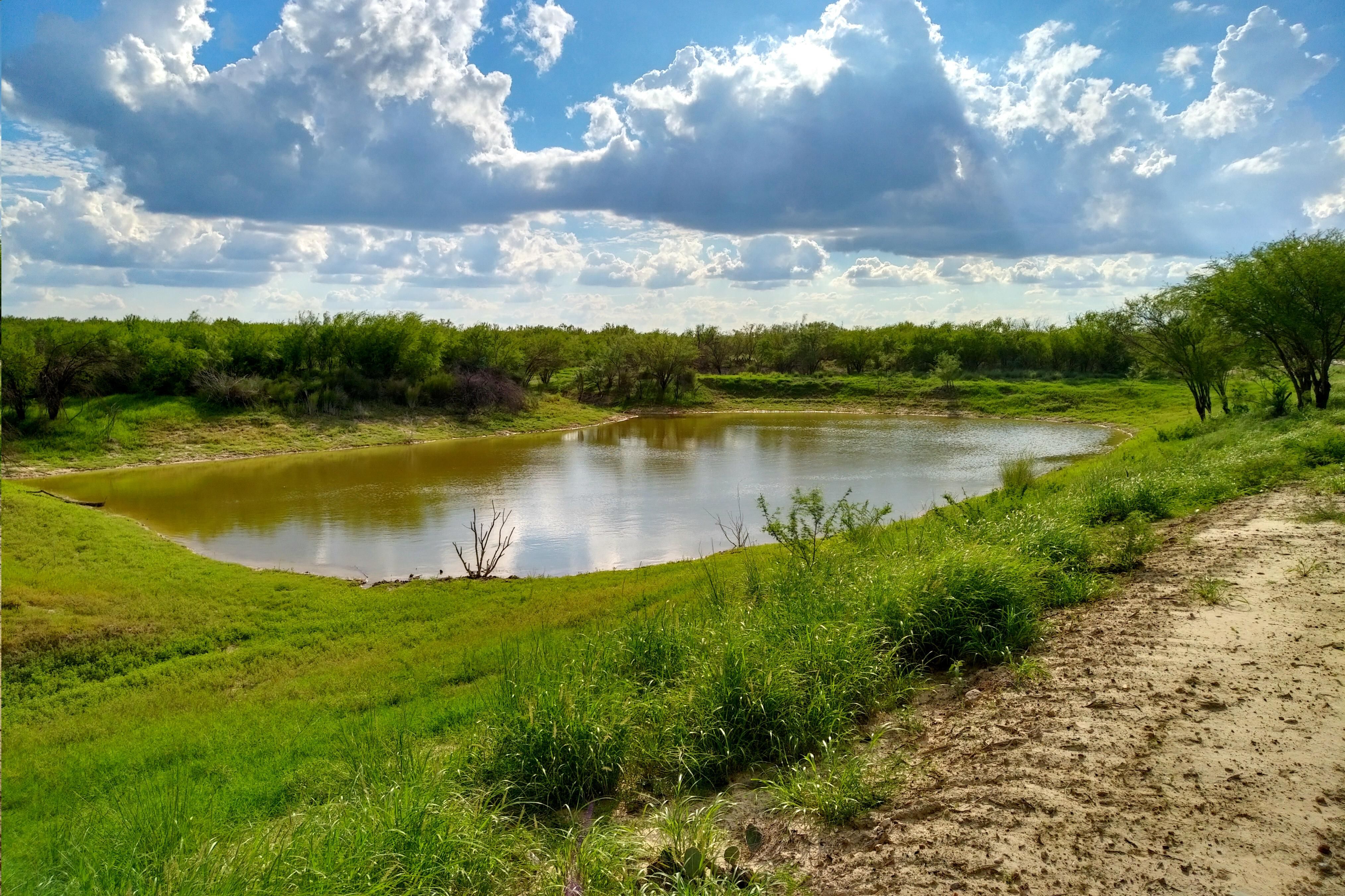 315.00 acres in b County, Texas