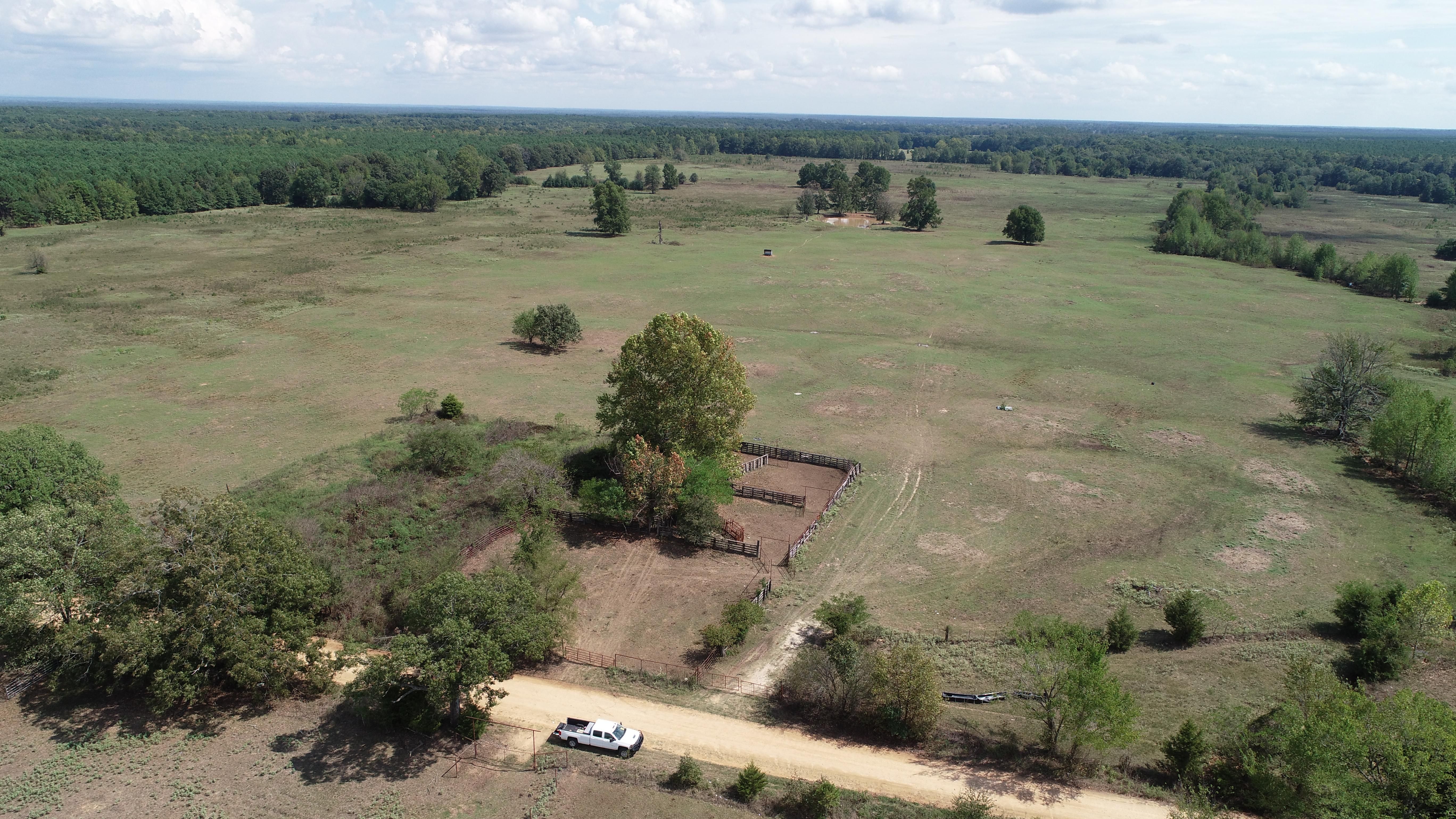 434.33 acres in Red River County, Texas