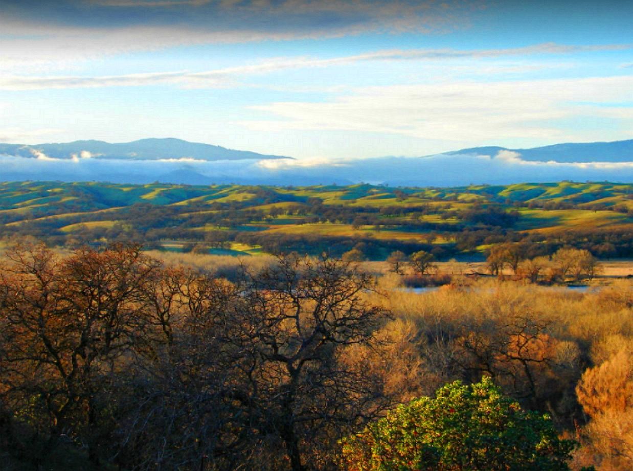 19 acres in Tehama County, California