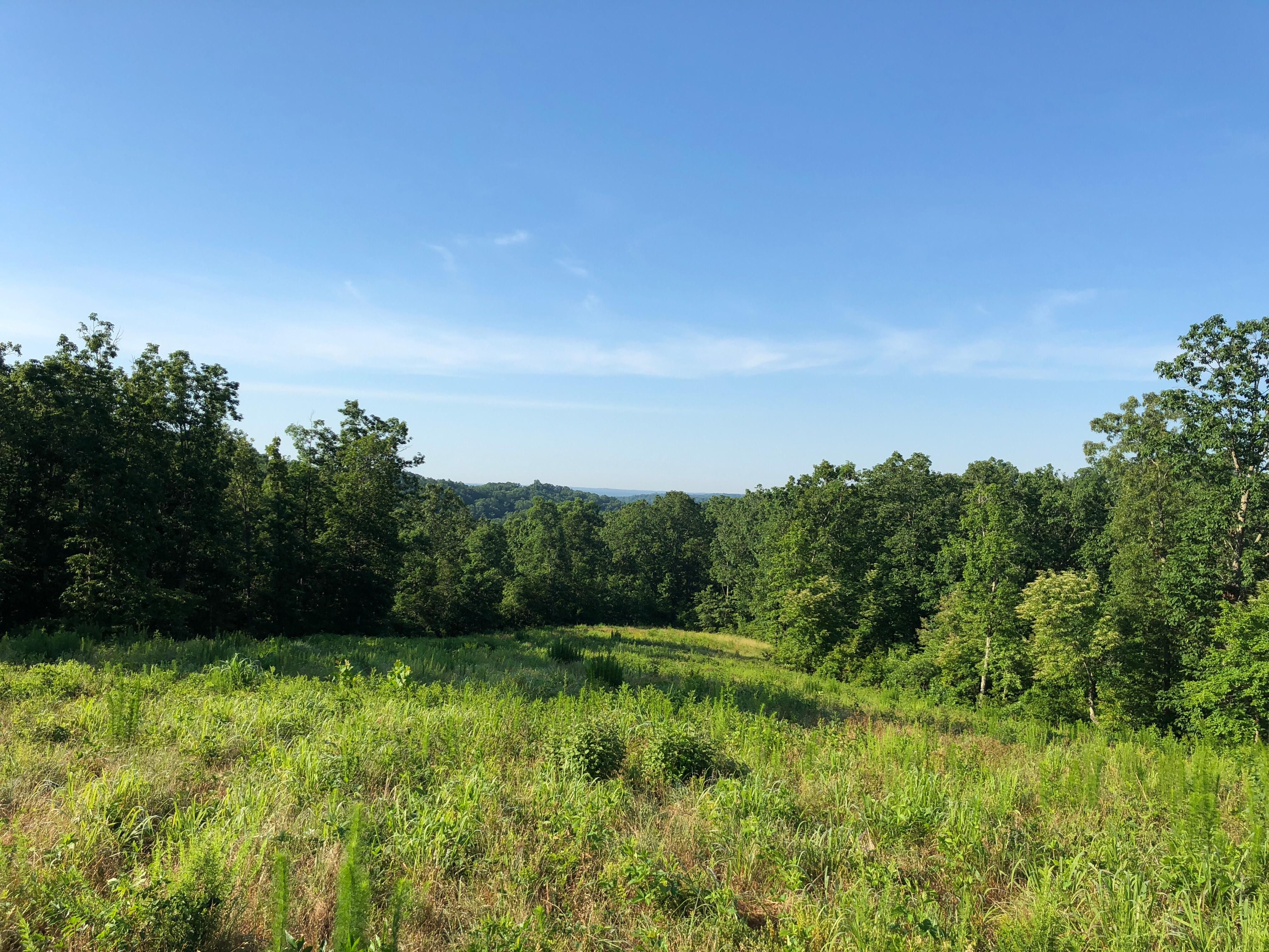 140.00 acres in Benton County, Tennessee