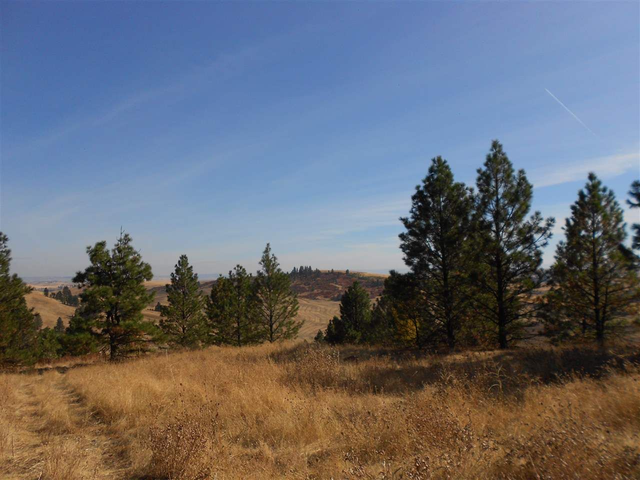 56.84 acres in Latah County, Idaho