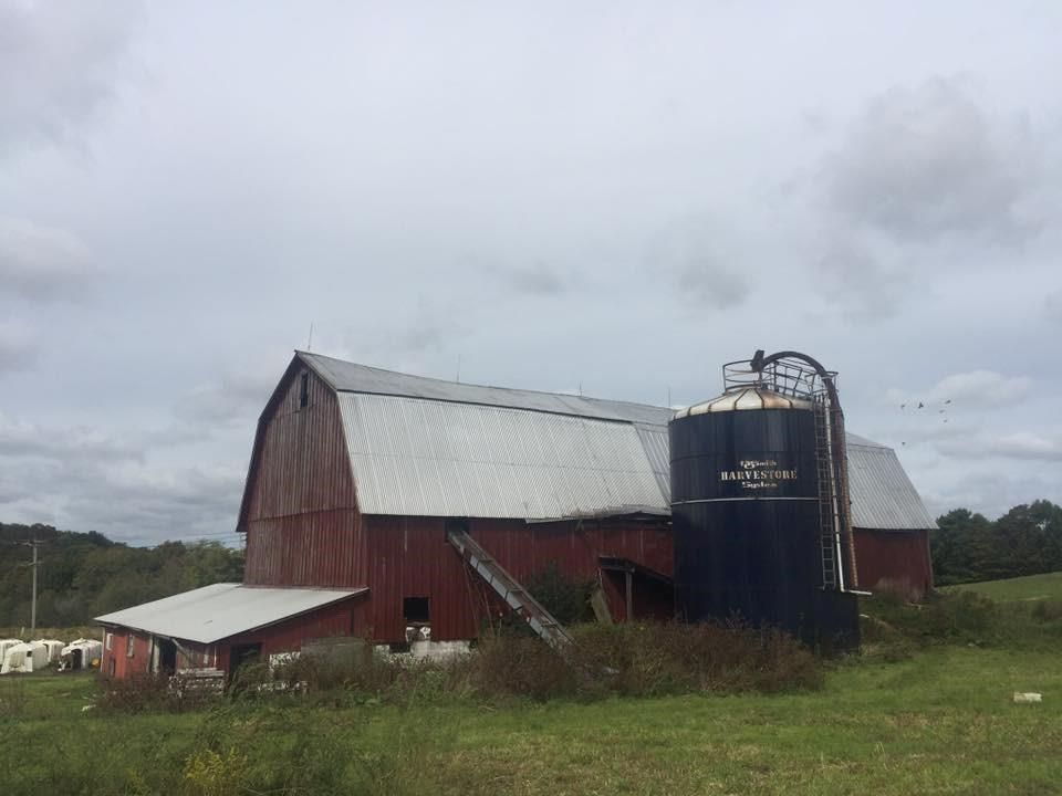 150 acres in Allegany County, New York
